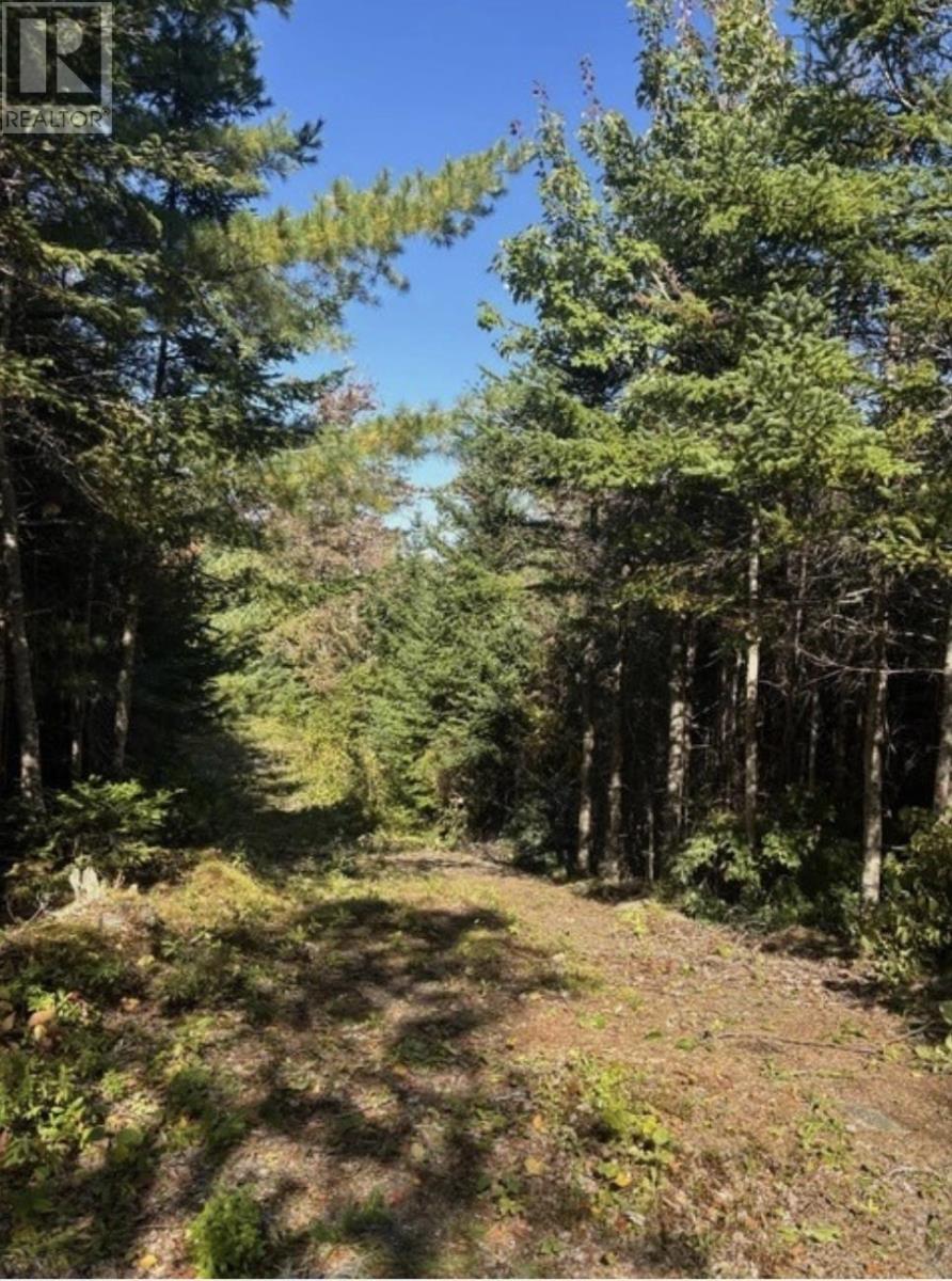 Lot 23 Anderson Drive Property Photo 7