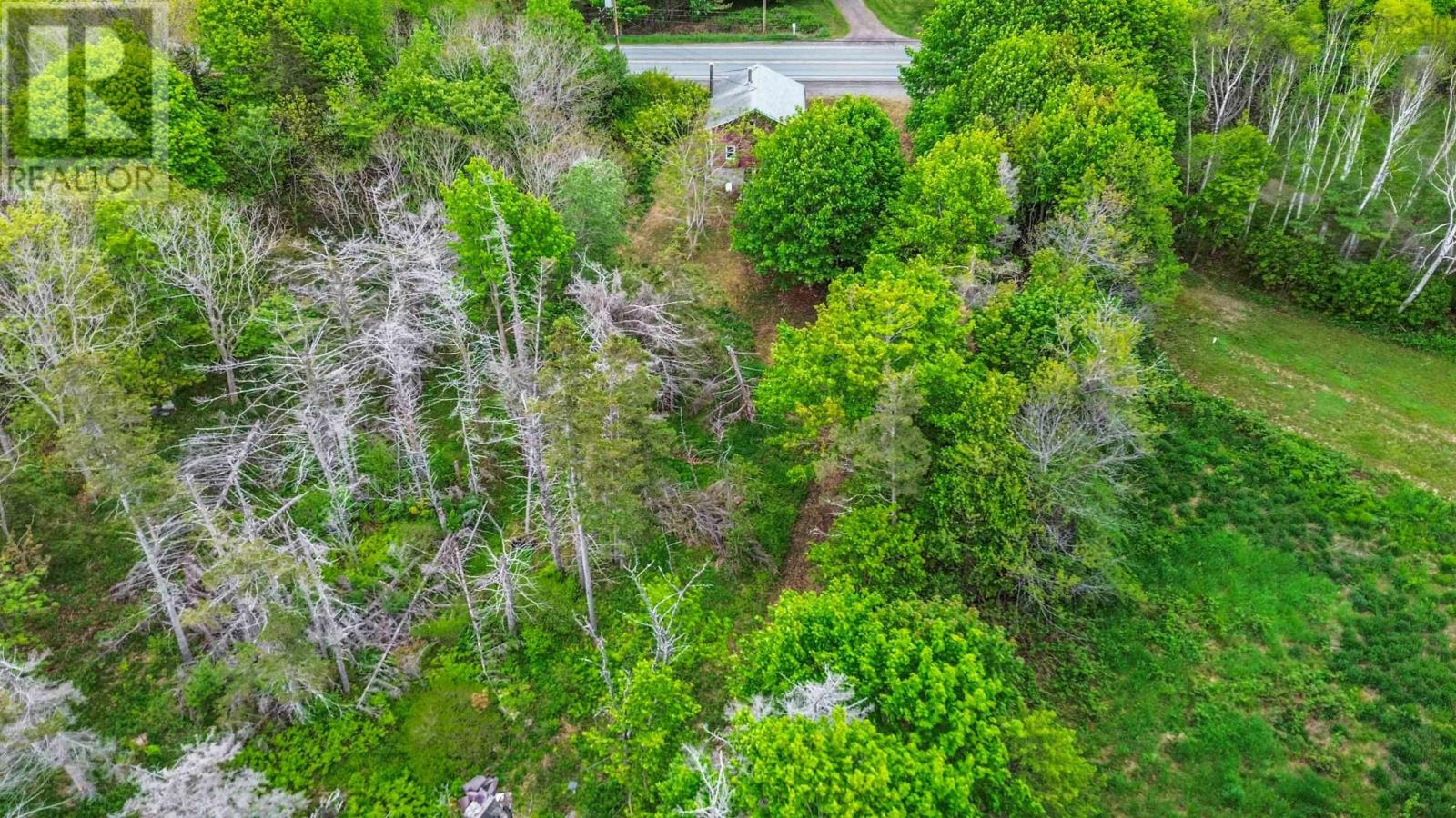 8721 Highway 101 Property Photo 5