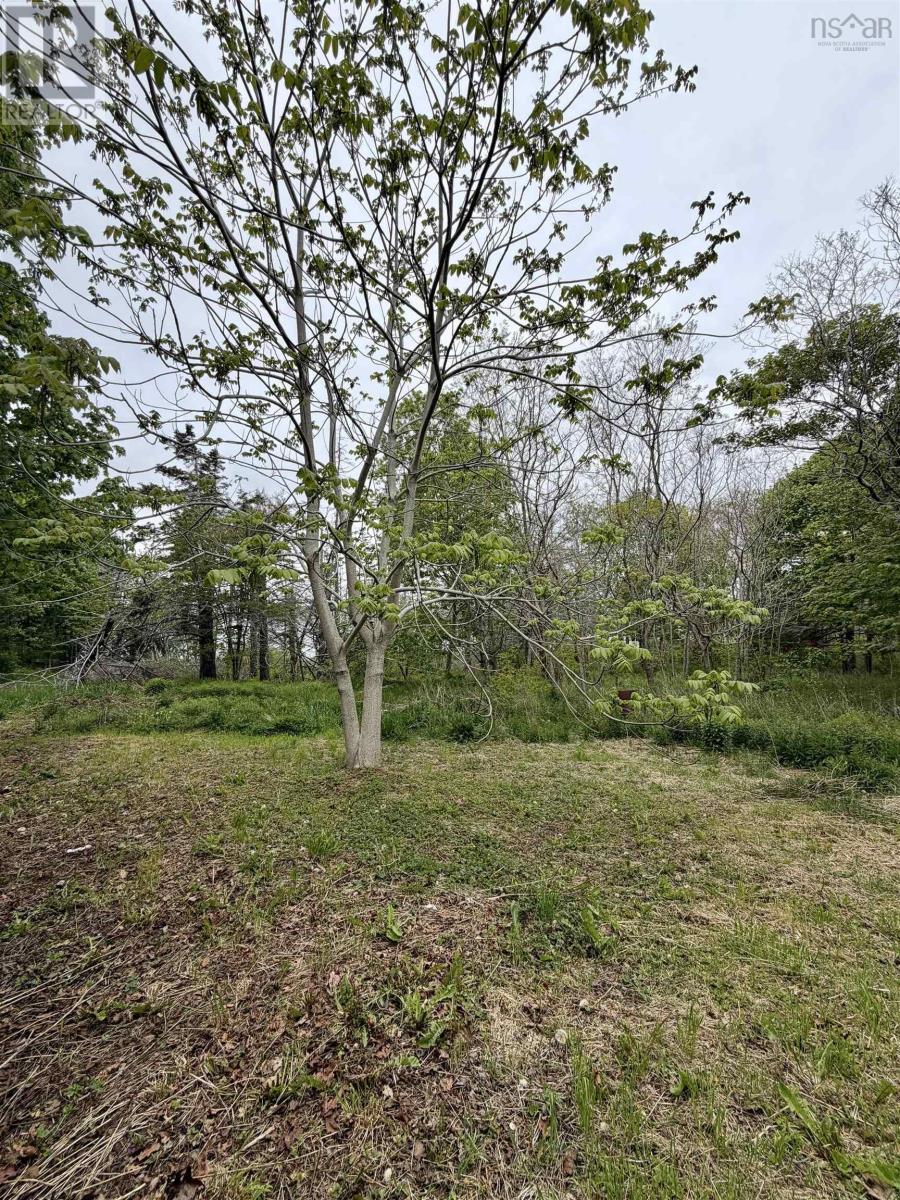 8721 Highway 101 Property Photo 25