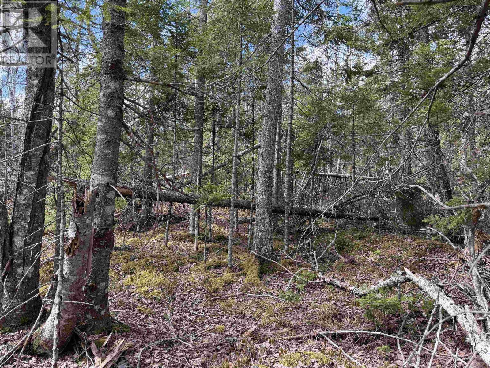 Lot Cl5 Palmer Road Property Photo 6