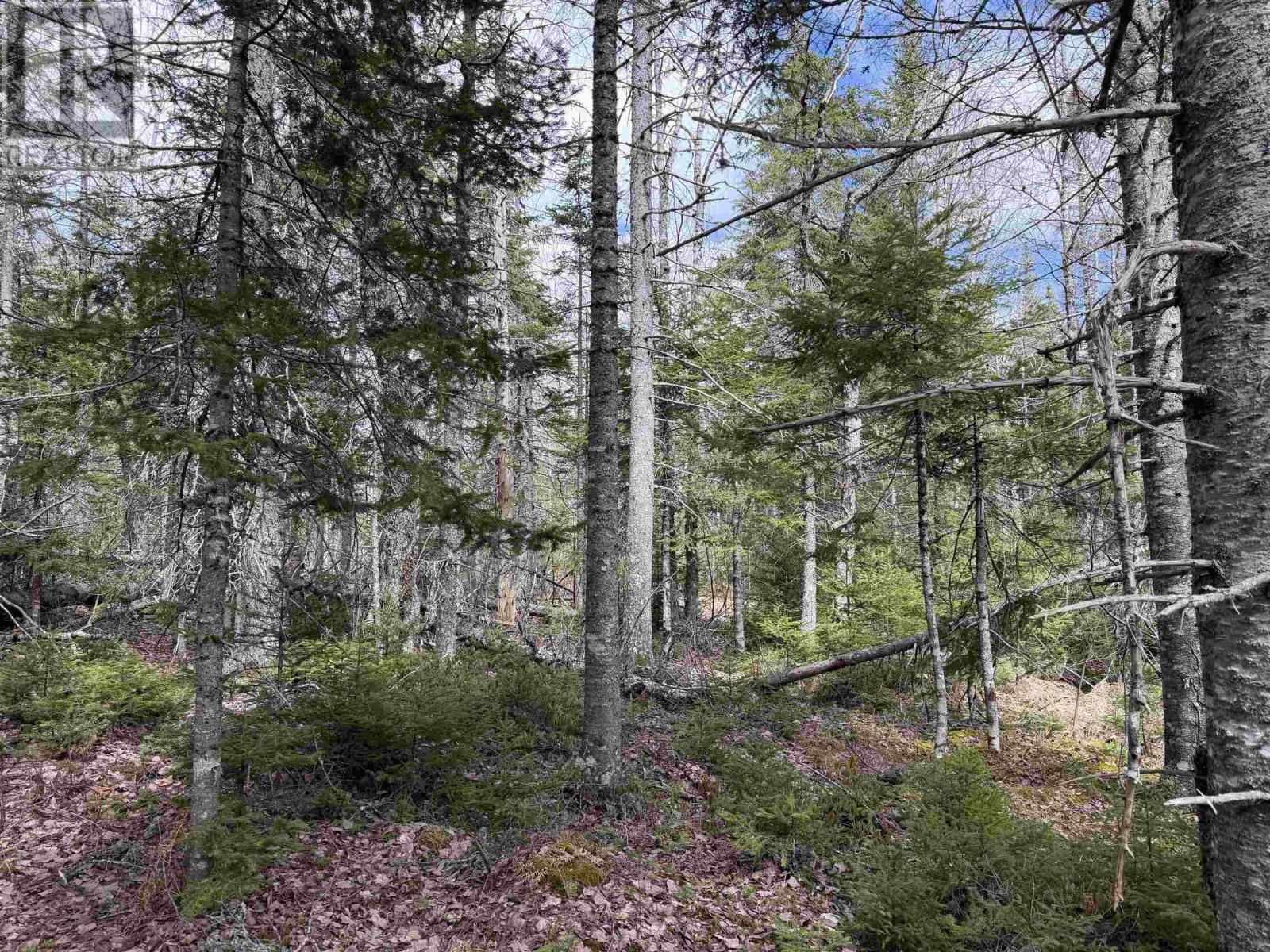Lot Cl5 Palmer Road Property Photo 7