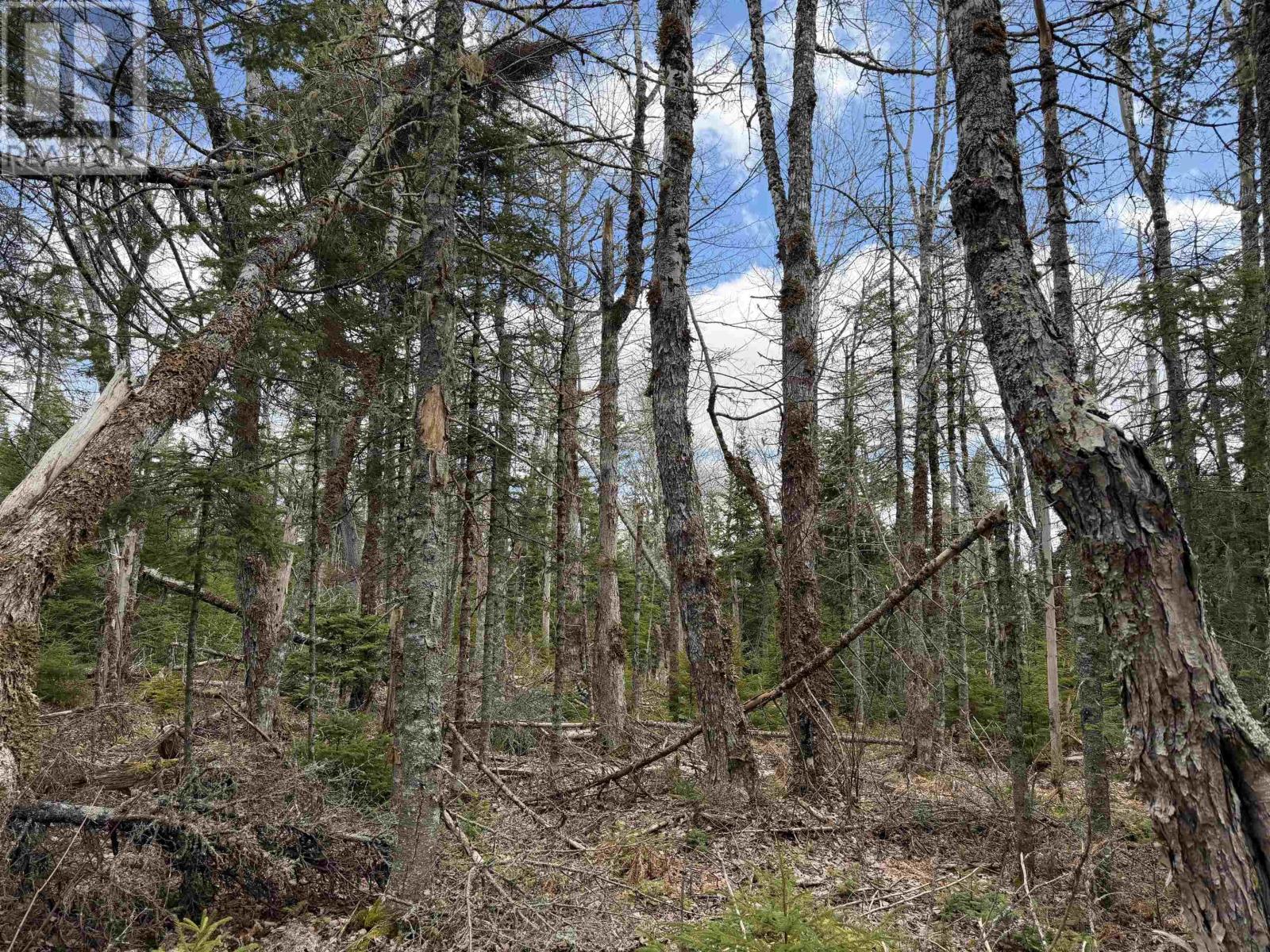 Lot Cl5 Palmer Road Property Photo 8