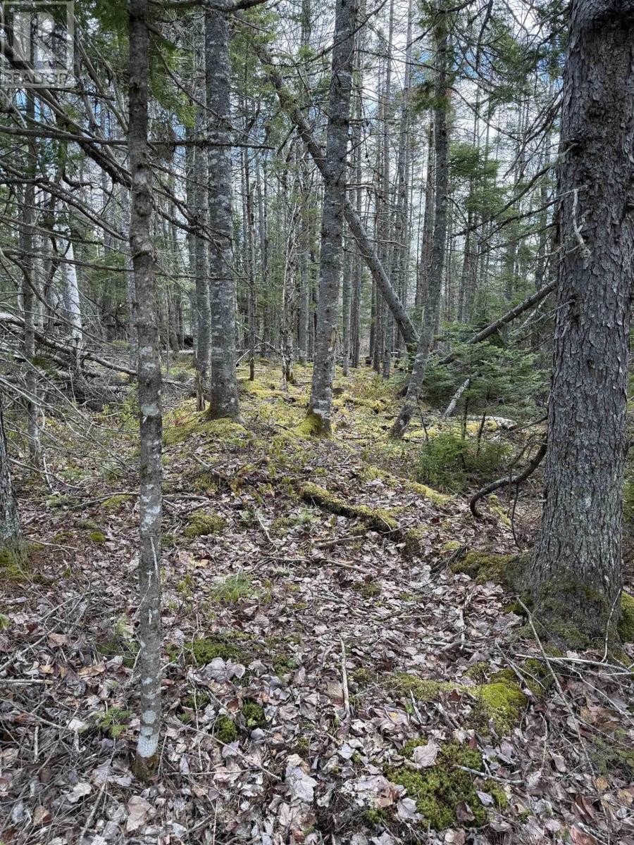 Lot Cl5 Palmer Road Property Photo 9