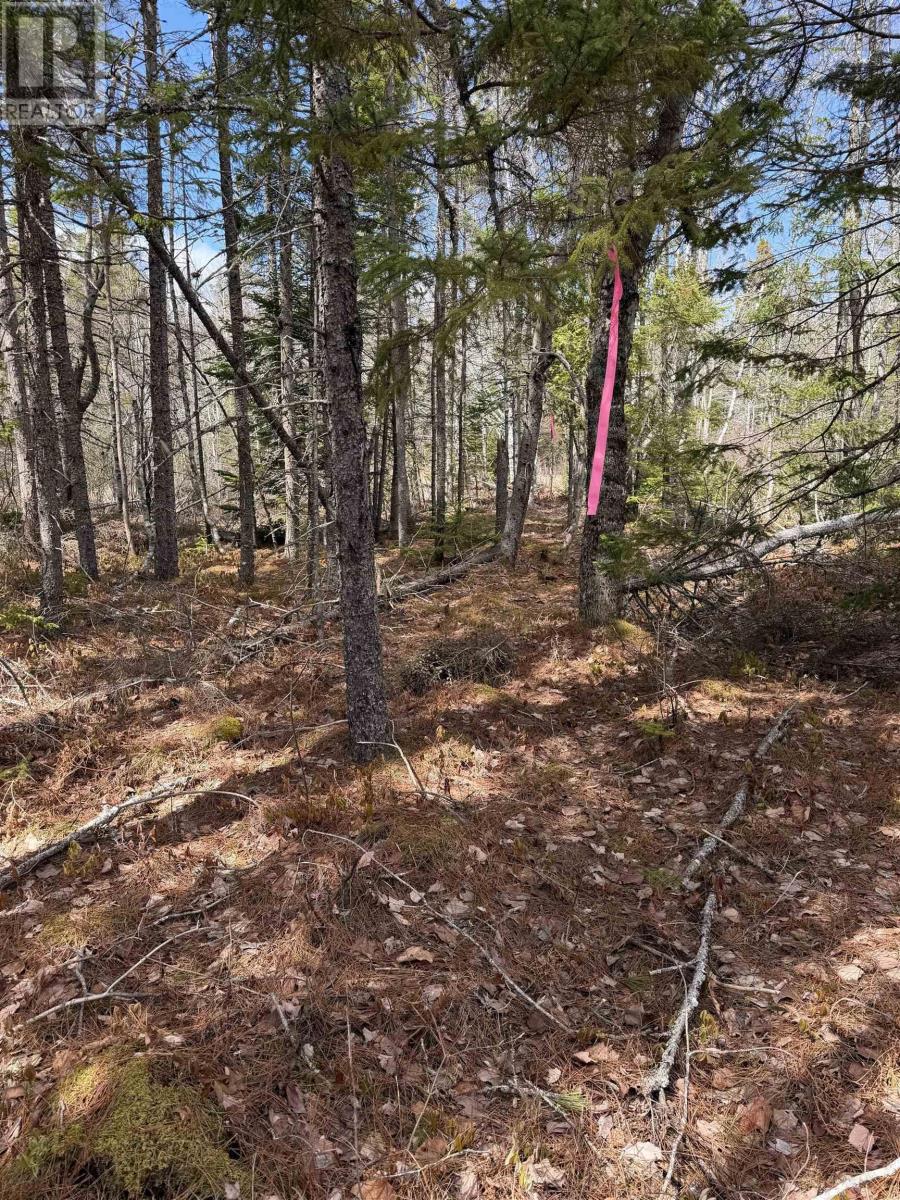 Lot Cl5 Palmer Road Property Photo 10