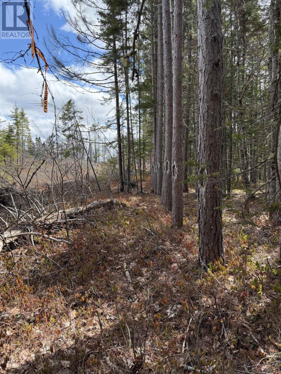Lot Cl5 Palmer Road Property Photo 11
