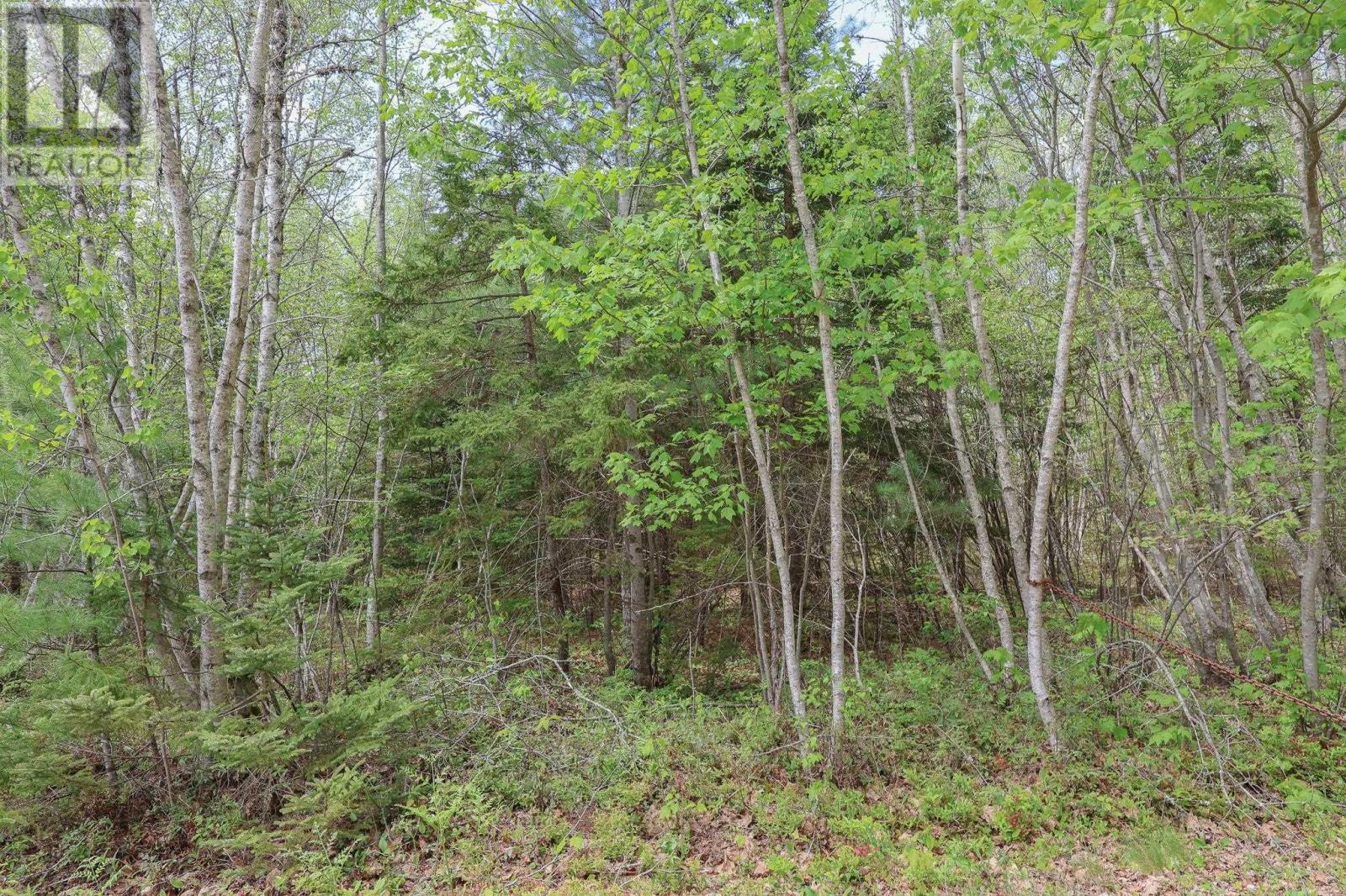 Lot 102 Cleversey Ridge Park Property Photo 6