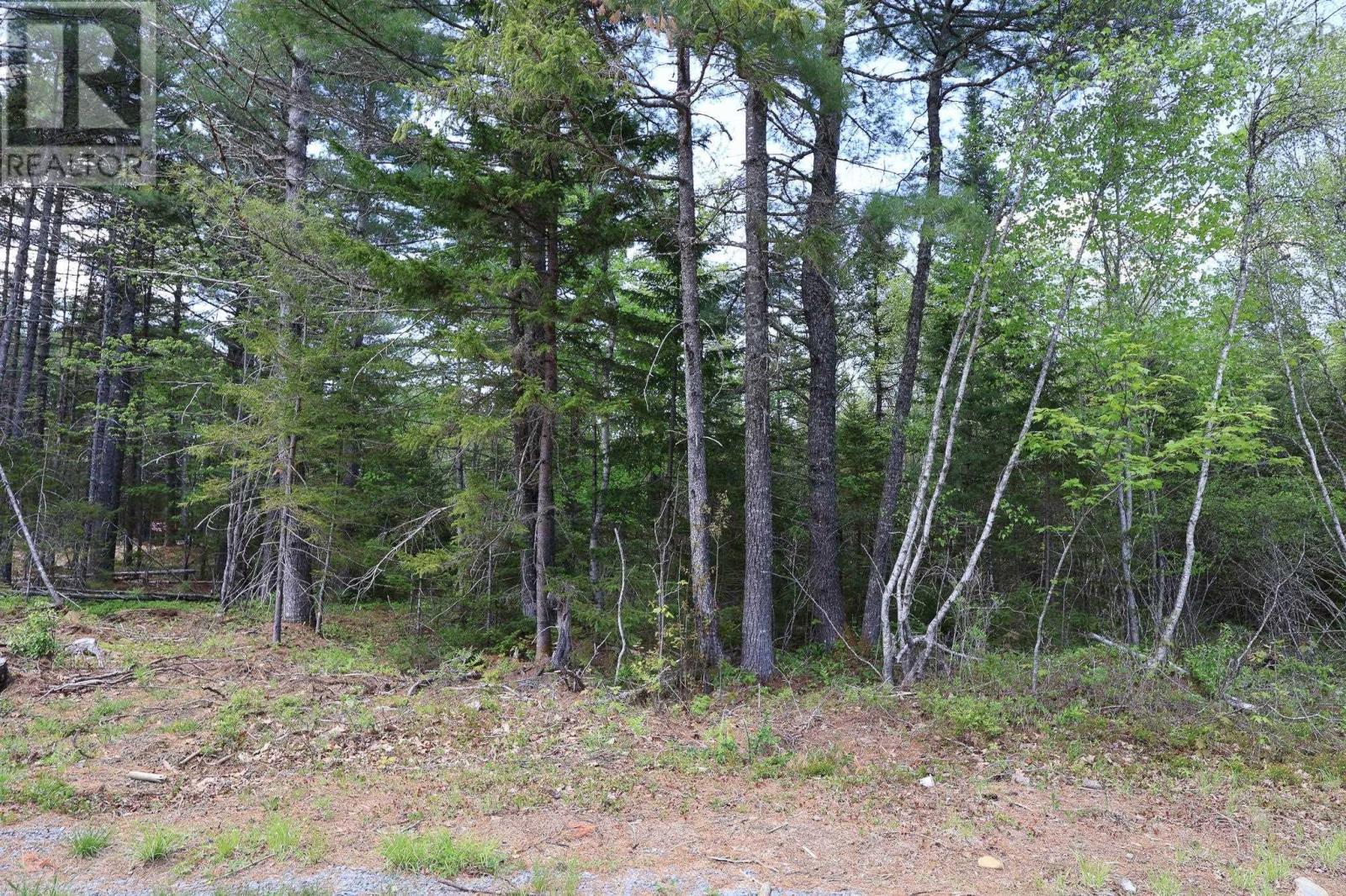 Lot 102 Cleversey Ridge Park Property Photo 7