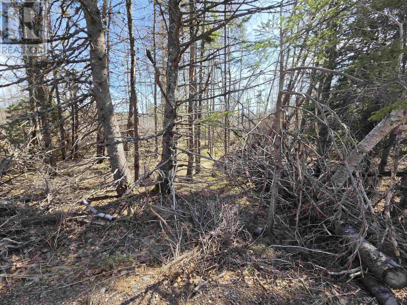 Malcolms Road Property Photo 8