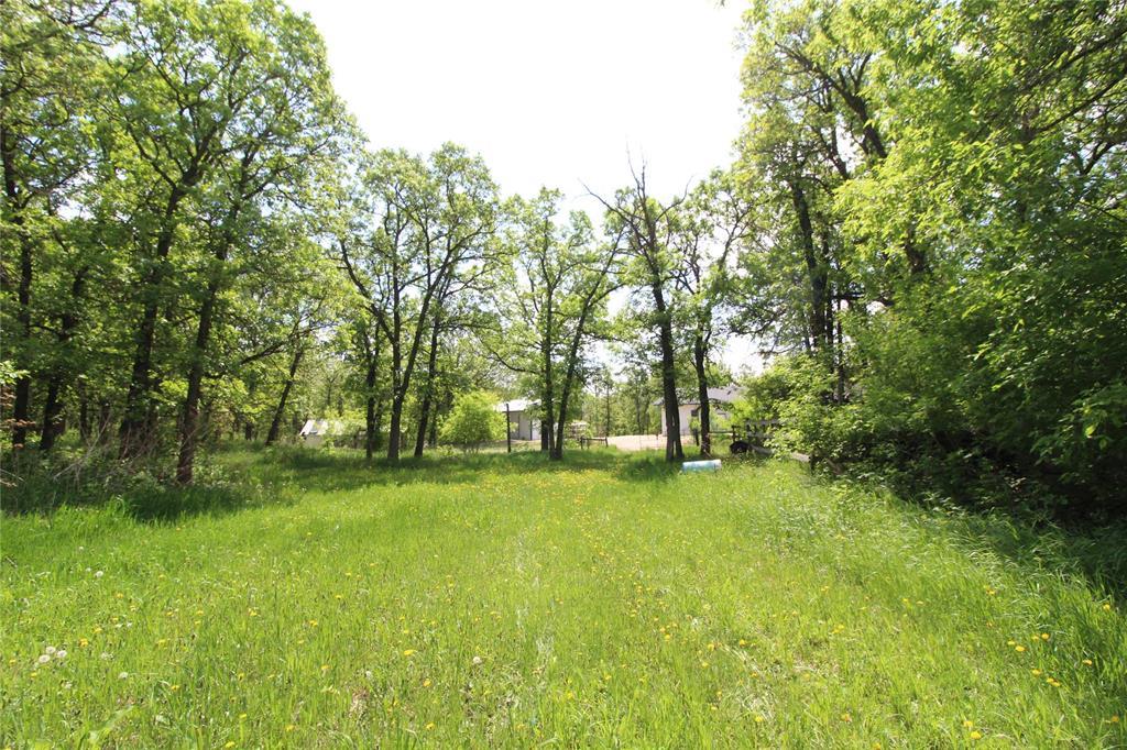 107103 43n (treesbank) Road Property Photo 42