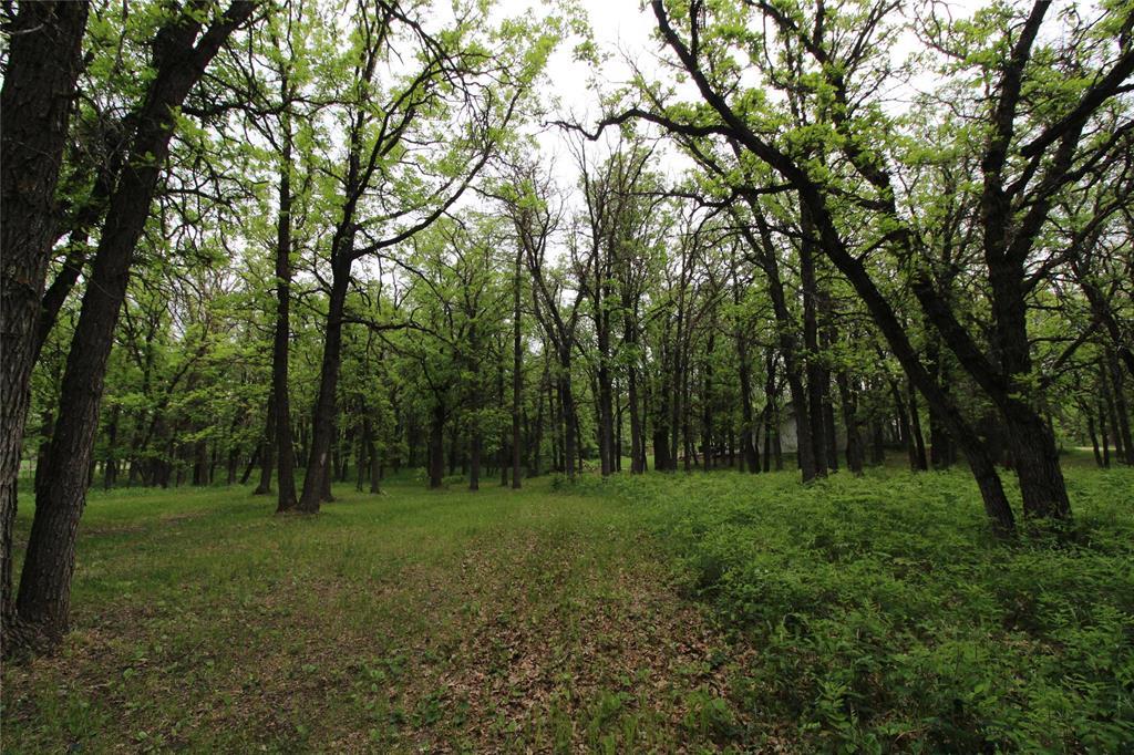 107103 43n (treesbank) Road Property Photo 45