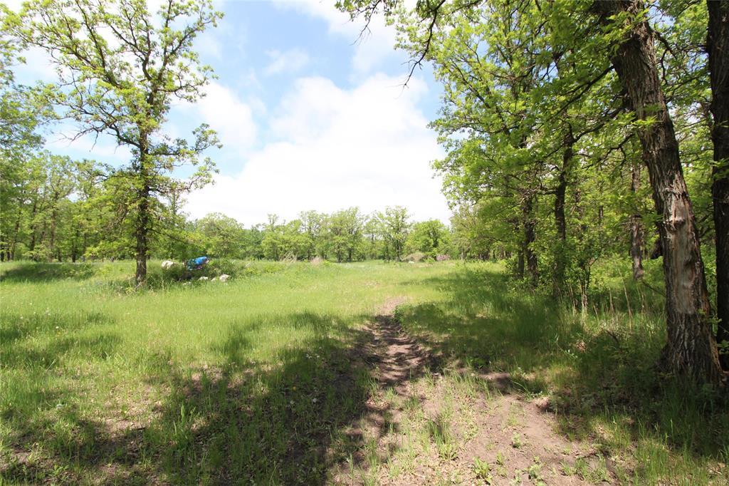 107103 43n (treesbank) Road Property Photo 49