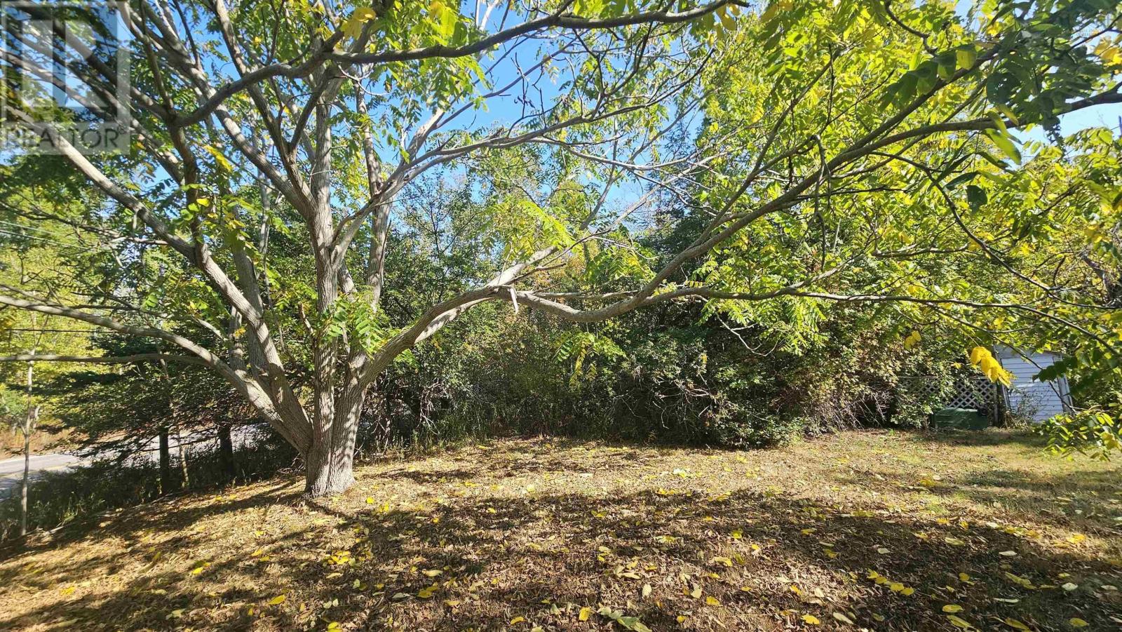 2526 Highway 1 Property Photo 13