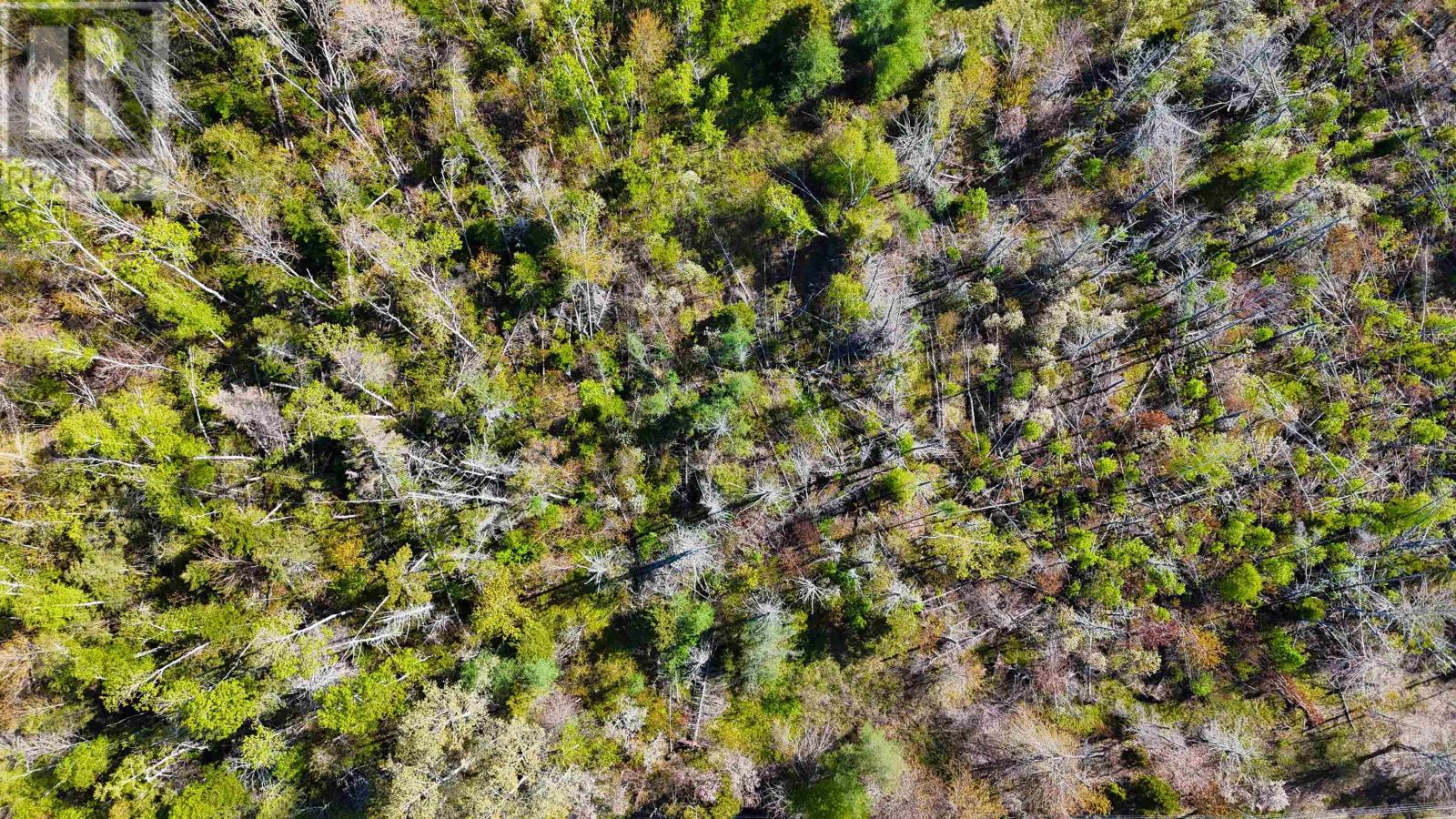 Acreage Trans Canada Highway Property Photo 7