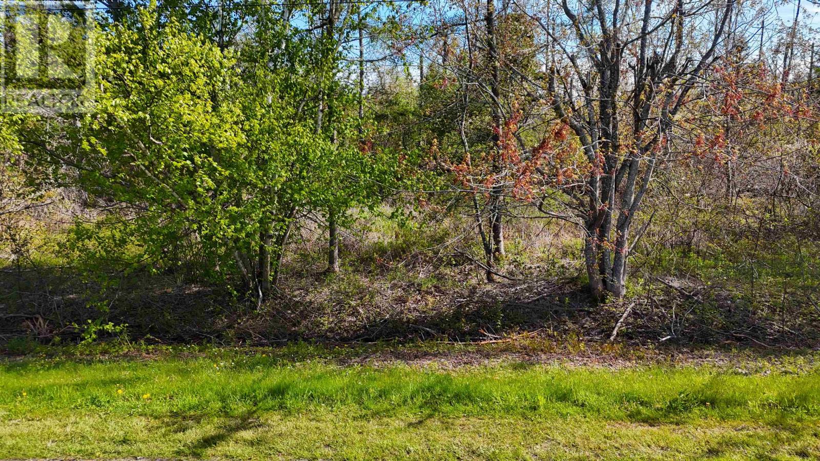 Acreage Trans Canada Highway Property Photo 8