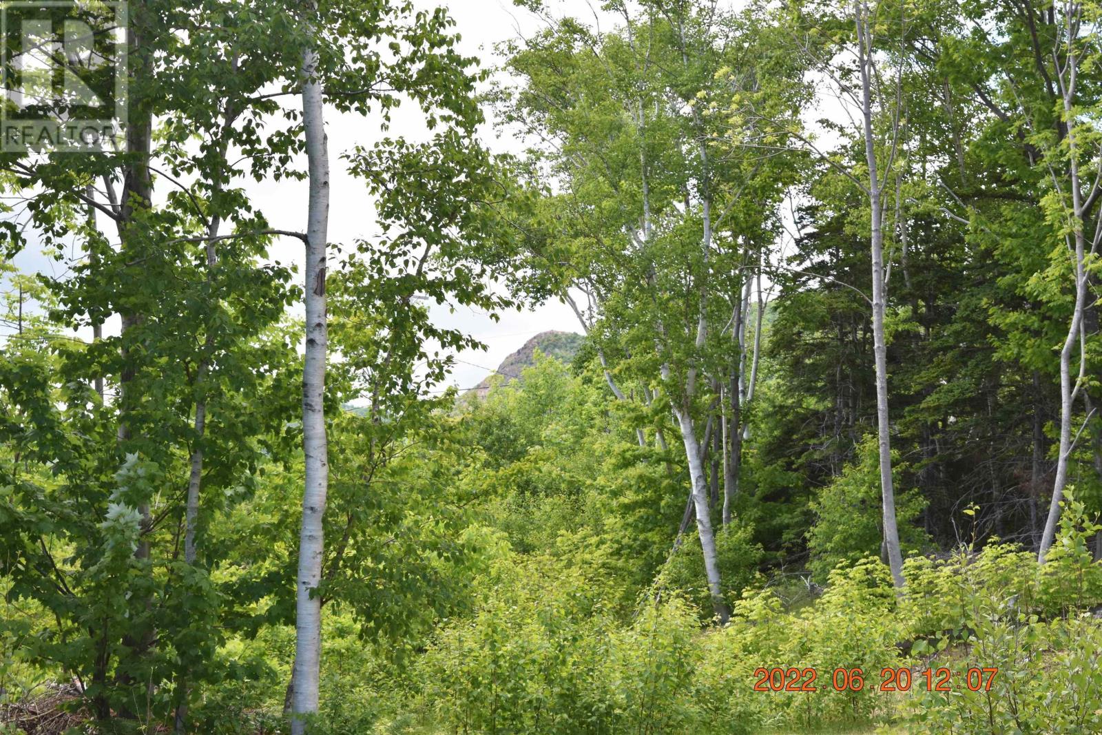 Bay St Lawrence Road Property Photo 18