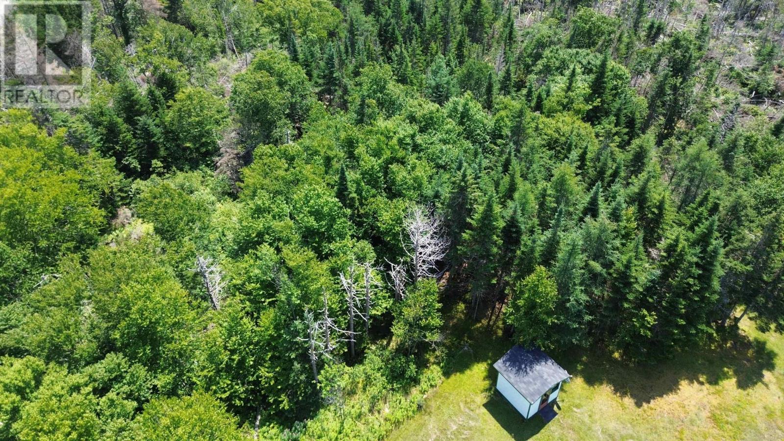Gabarus Highway Property Photo 5