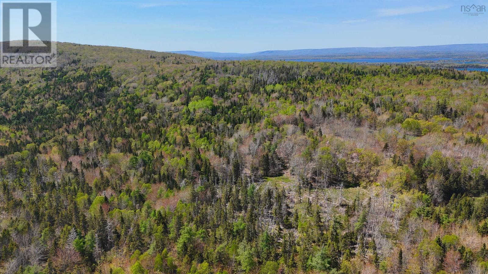 7004 Marble Mountain Road Property Photo 4