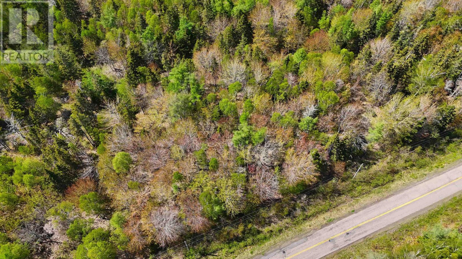 7004 Marble Mountain Road Property Photo 5
