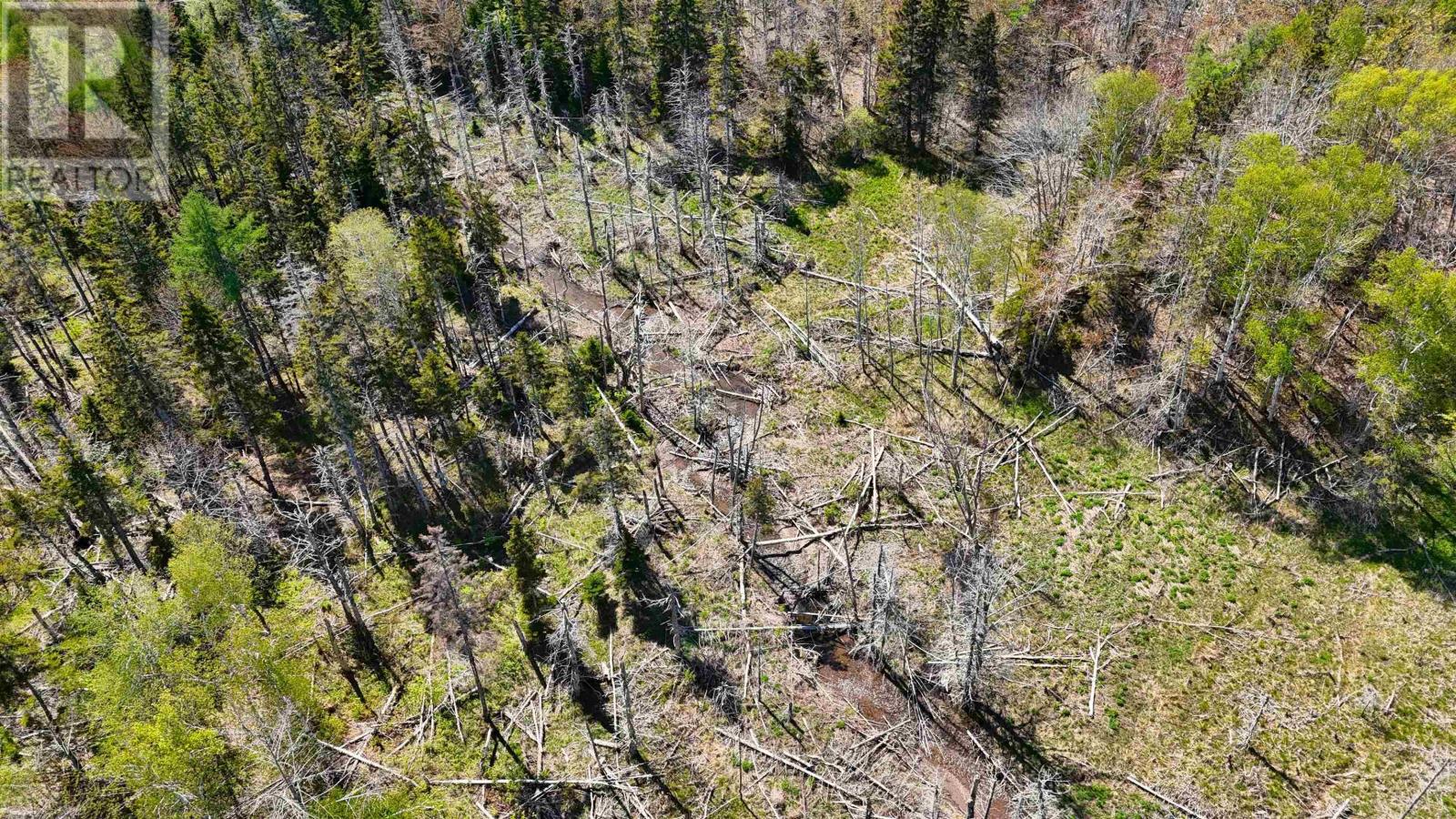 7004 Marble Mountain Road Property Photo 16
