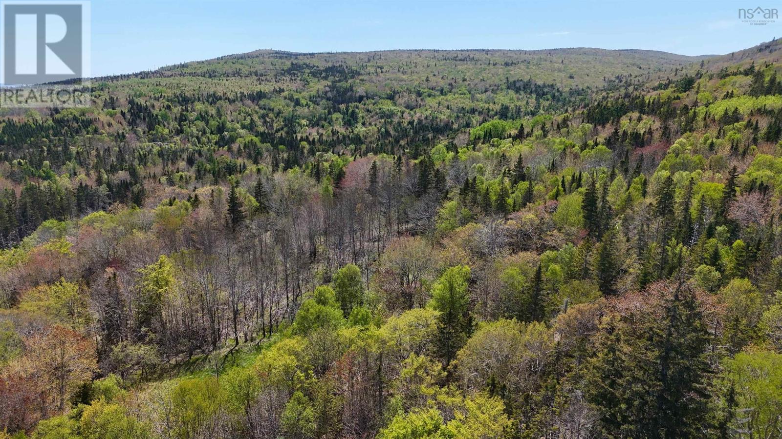 7004 Marble Mountain Road Property Photo 17