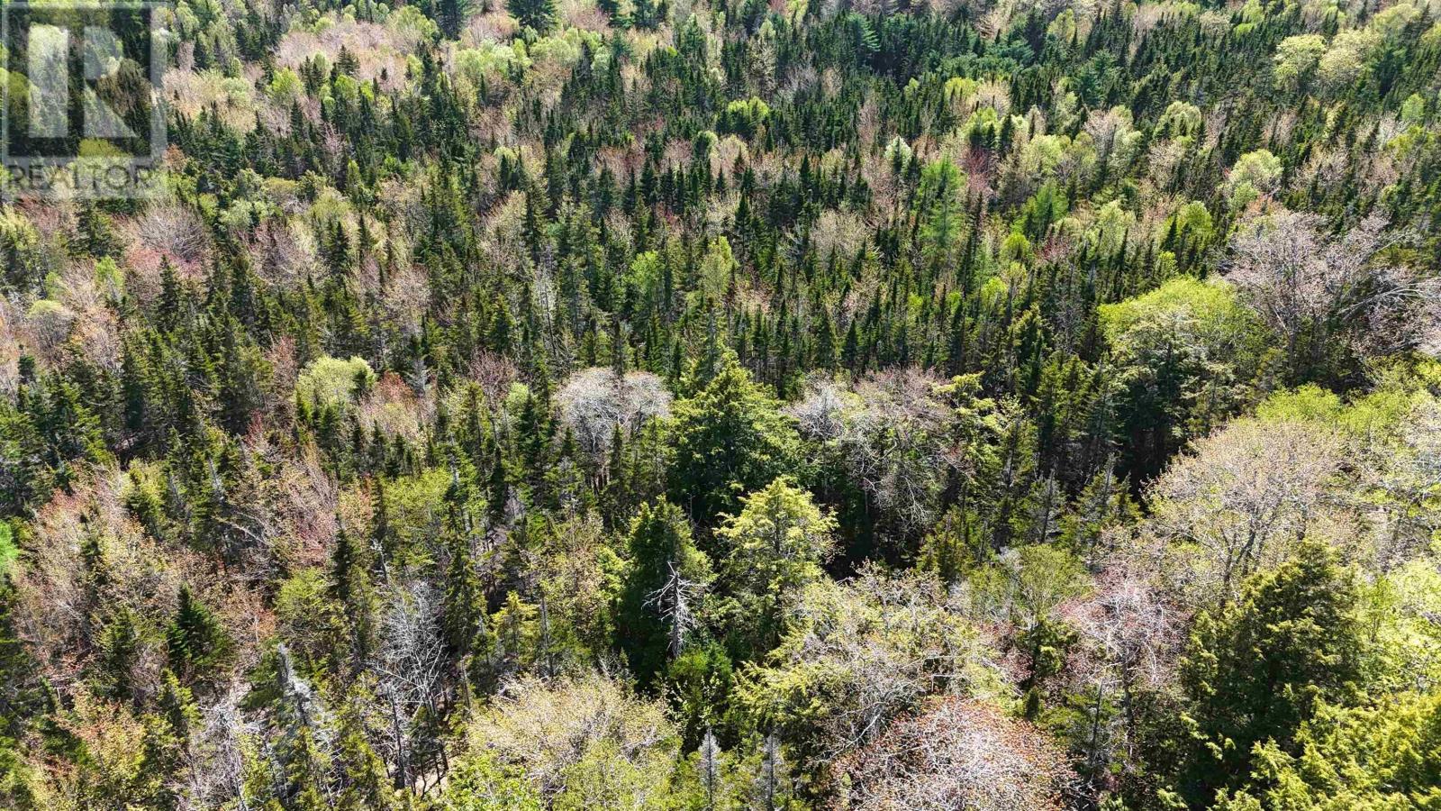 7004 Marble Mountain Road Property Photo 26