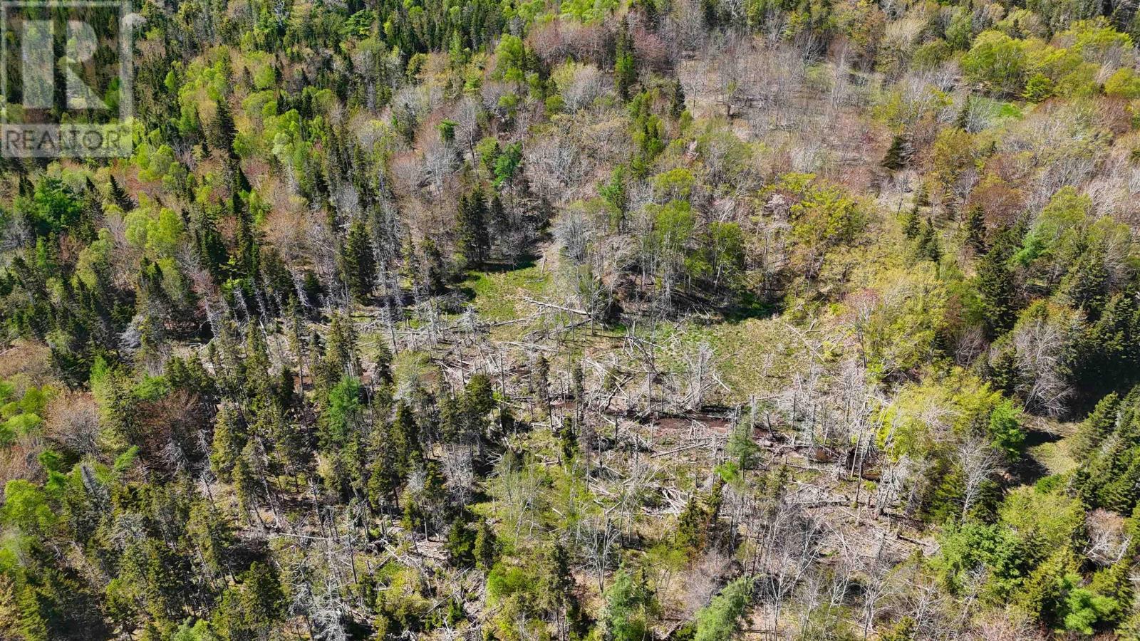 7004 Marble Mountain Road Property Photo 27