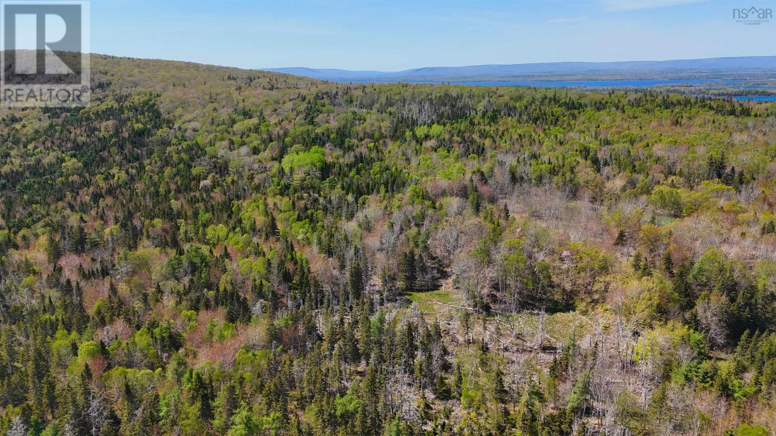 7004 Marble Mountain Road Property Photo 30