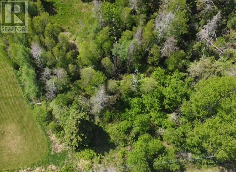 No 6 Trunk Highway Property Photo 1
