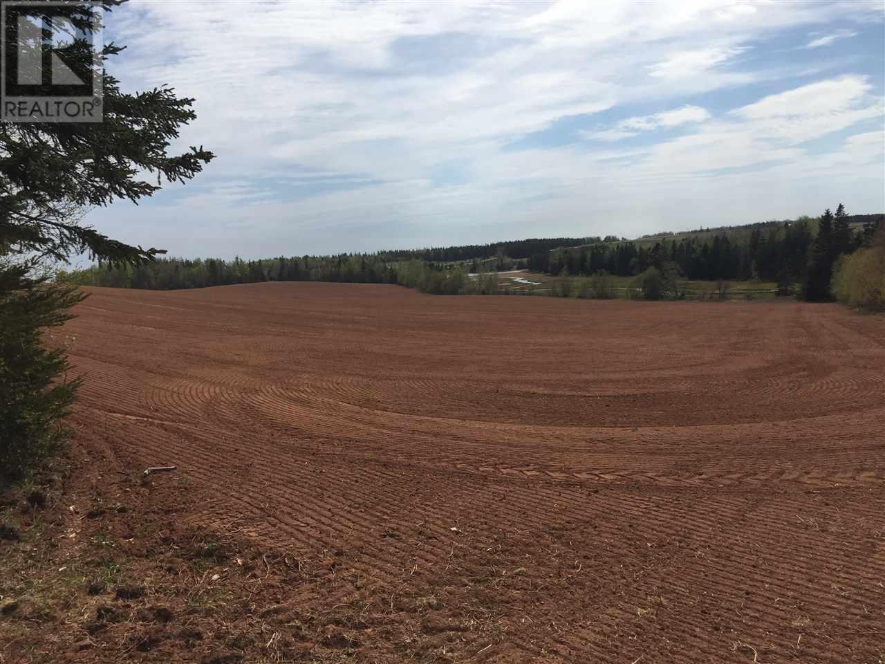 Acreage South Melville Road Property Photo 15
