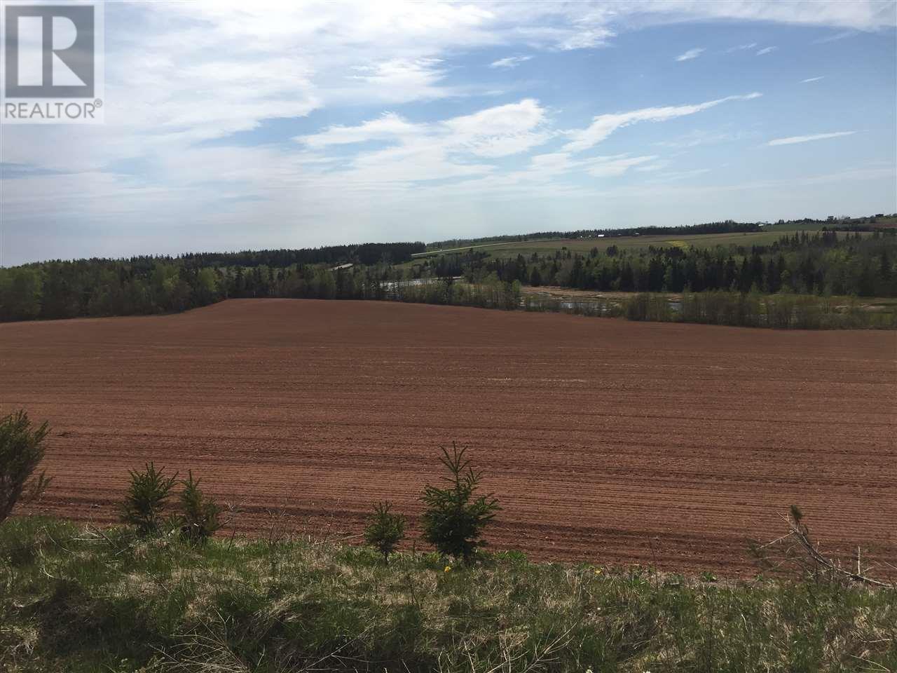 Acreage South Melville Road Property Photo 16