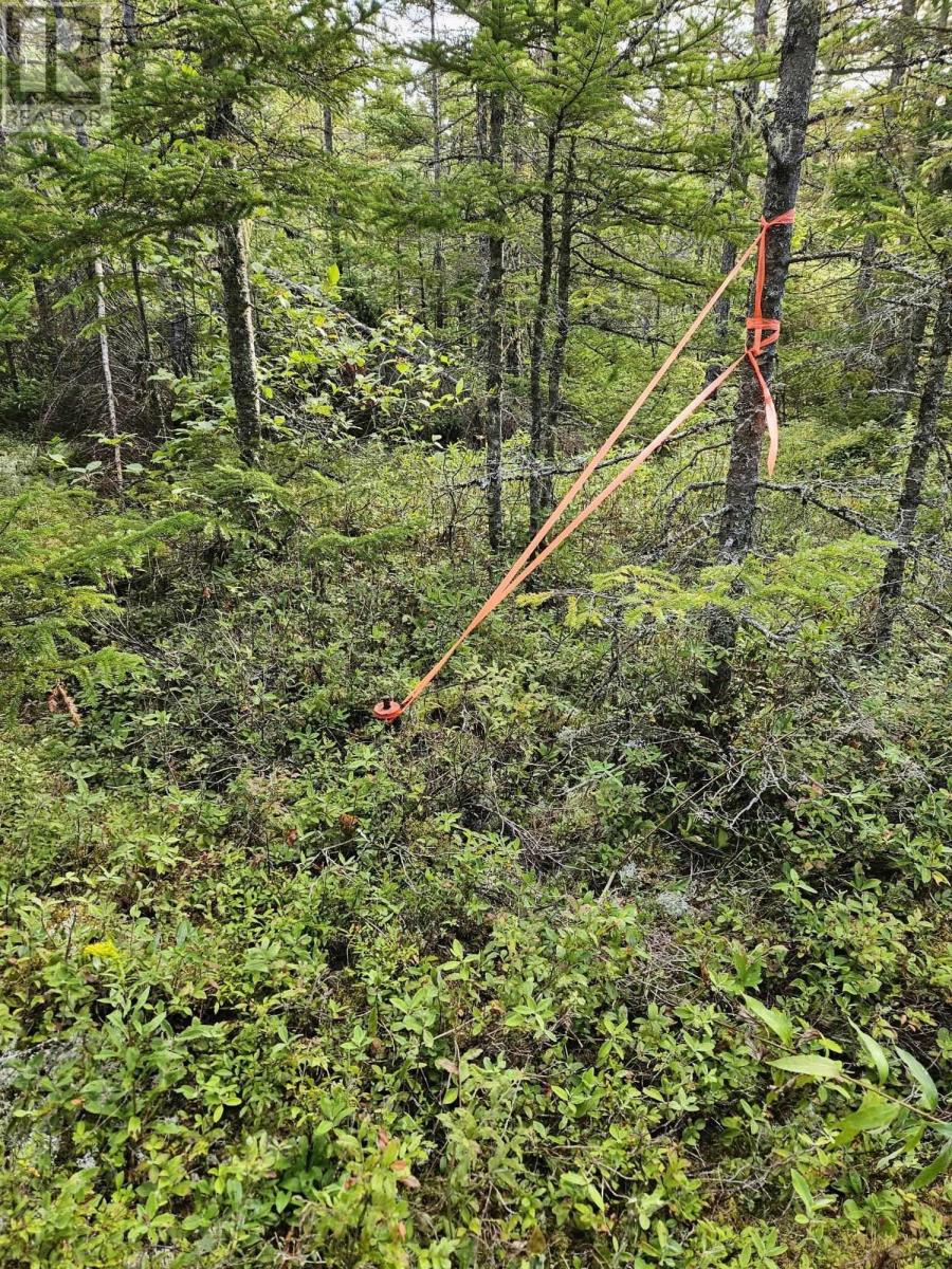 Cogswell Road Property Photo 6