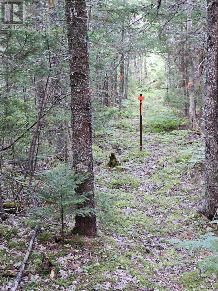 Cogswell Road Property Photo 7