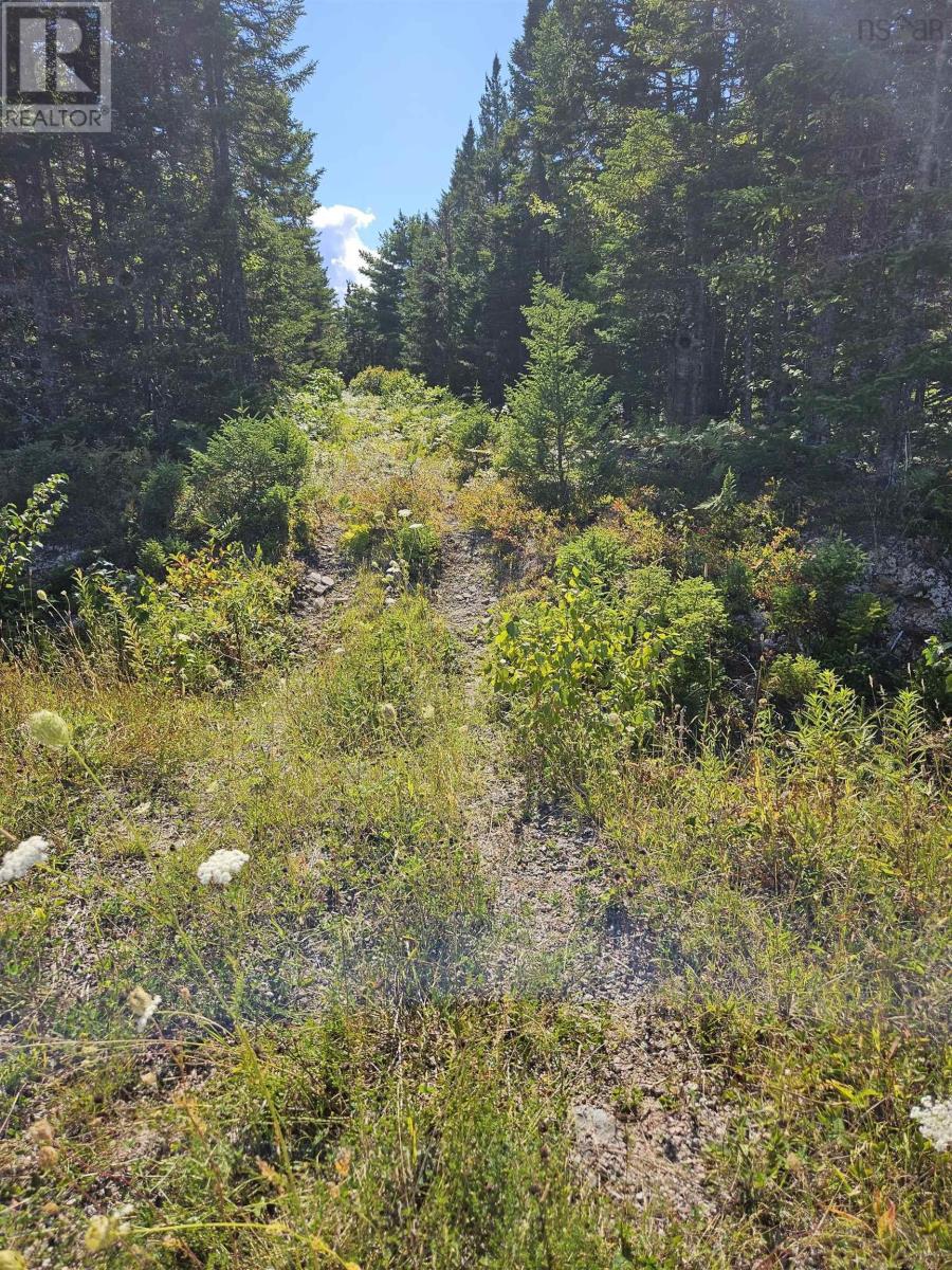 Cogswell Road Property Photo 8