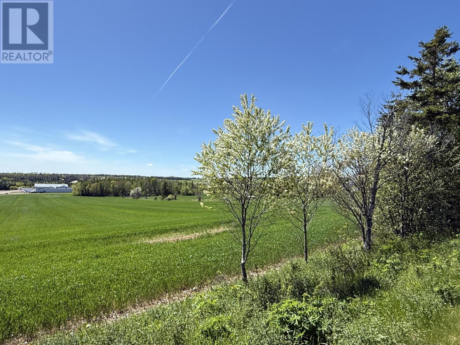 17 Acres Old Tryon Road Property Photo 10