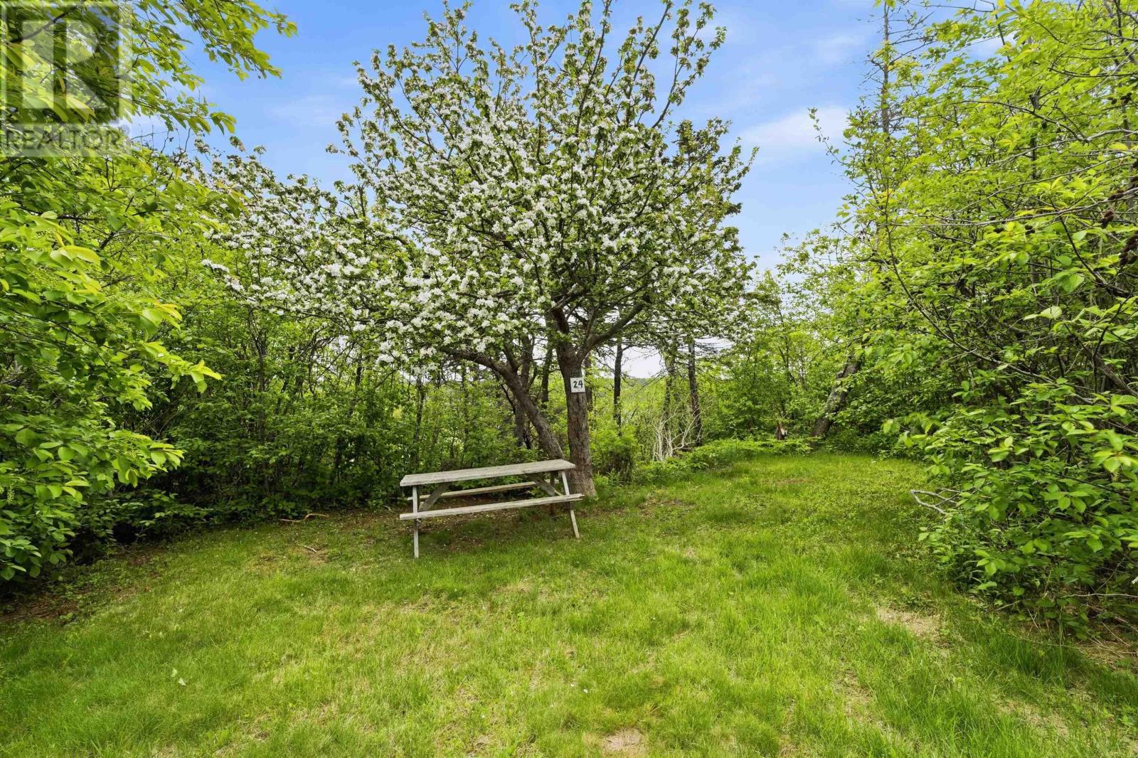 50 Whale Cove Road Property Photo 41