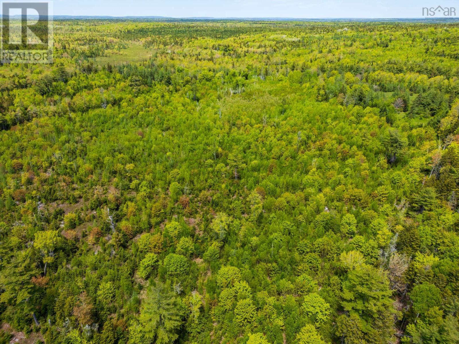Land Victory Road Property Photo 12