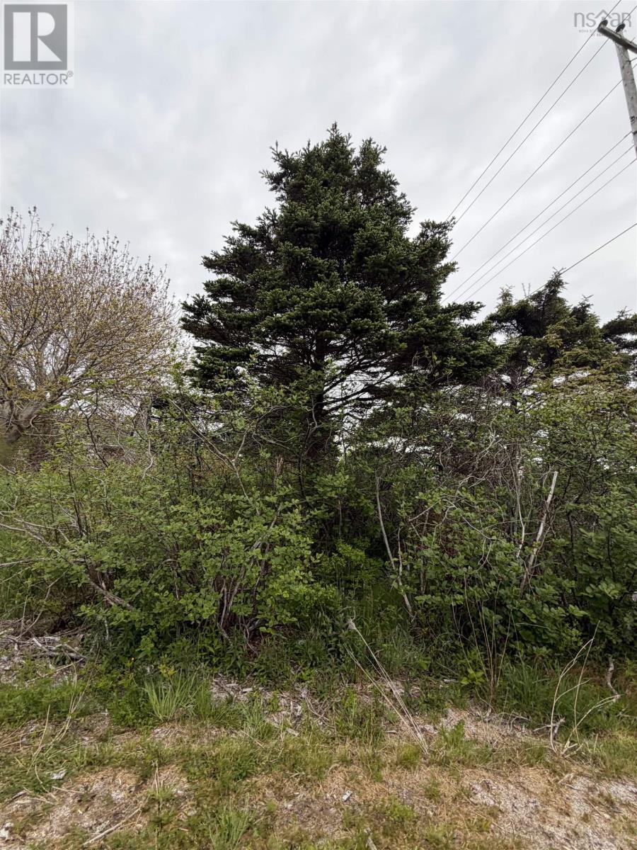 3661 Highway 217 Property Photo 1