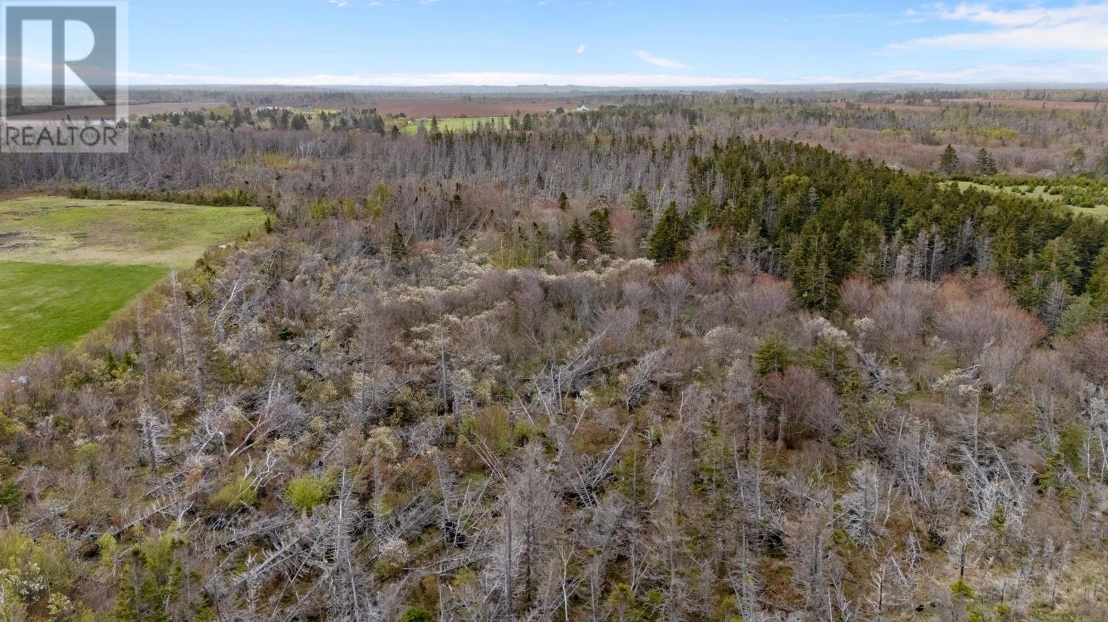 Acreage Shore Road Property Photo 12