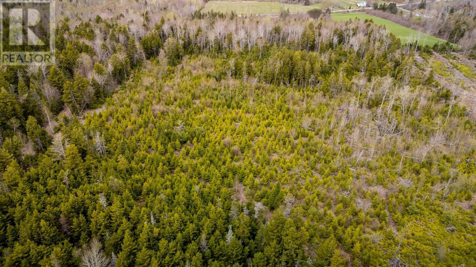 Lot Highway 215 Property Photo 2