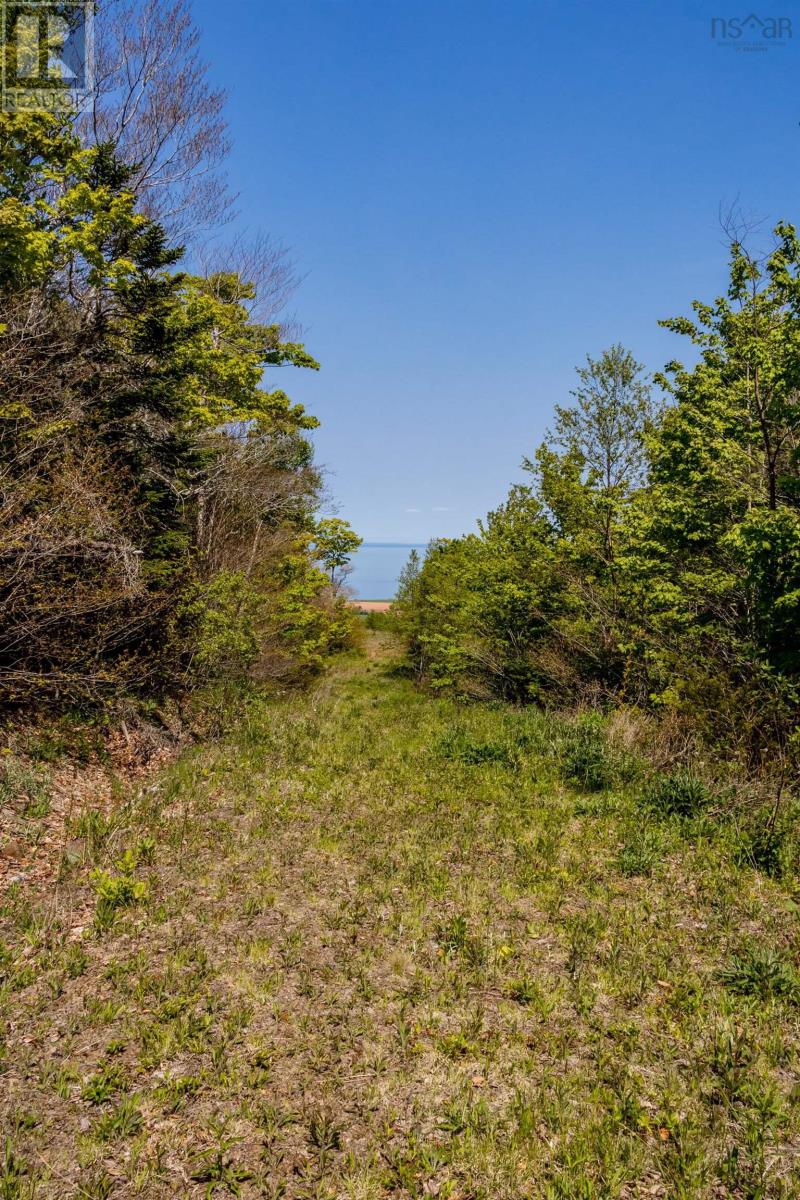 Lot 3 Highway 358 Property Photo 9