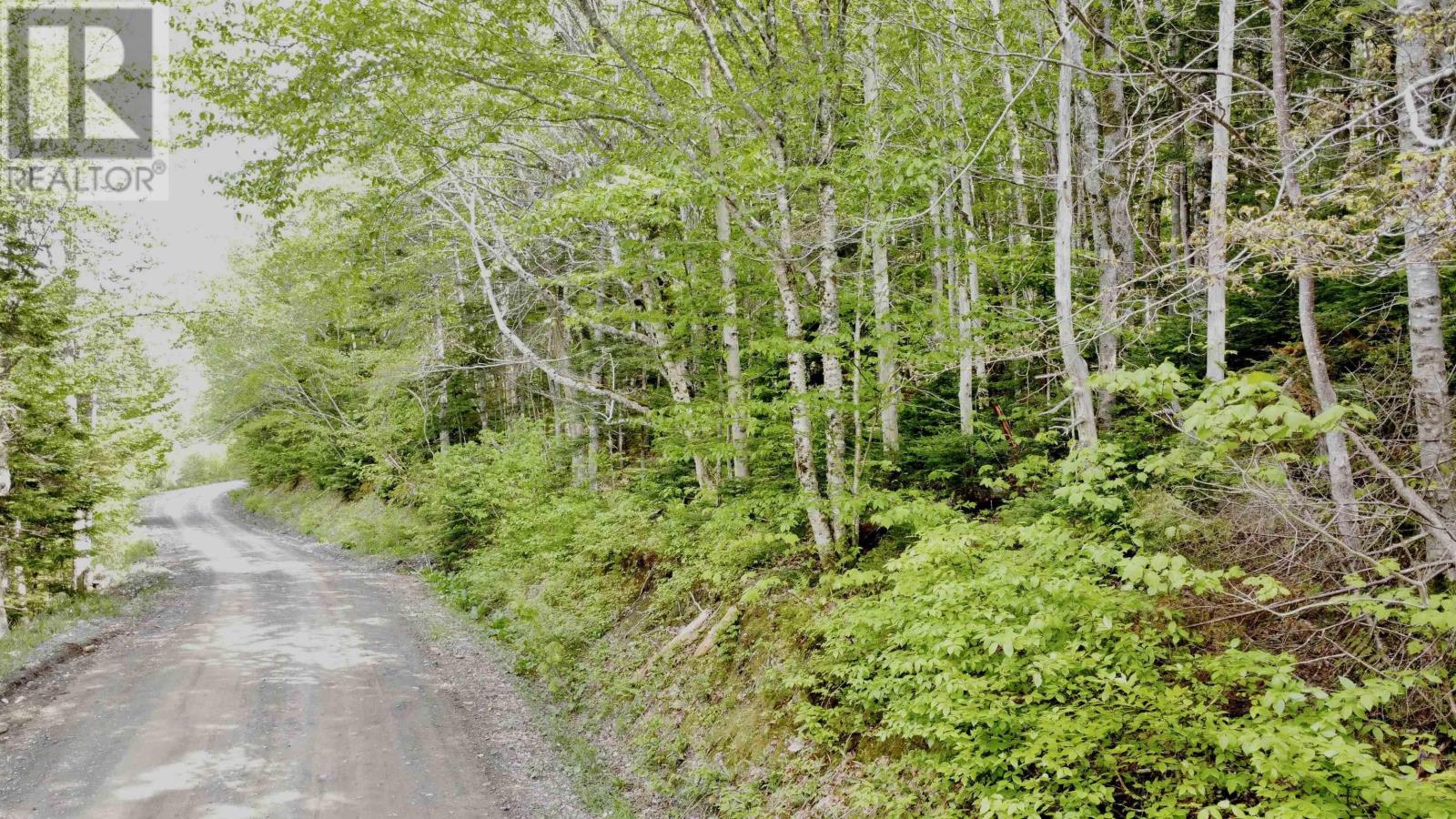 Lot 18-1 Glenora Falls Road Property Photo 3