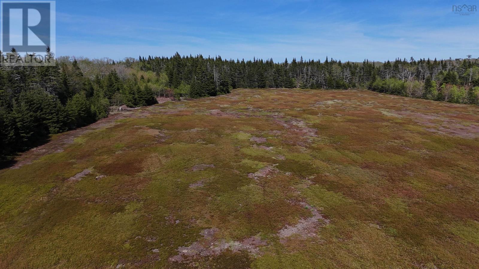 Whycocomagh Mountain Rd Property Photo 4