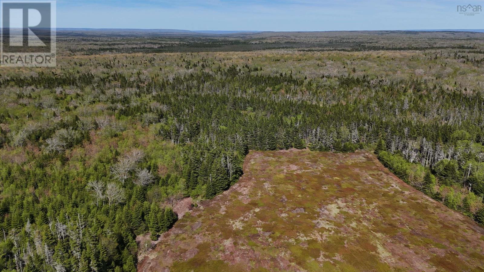 Whycocomagh Mountain Rd Property Photo 5