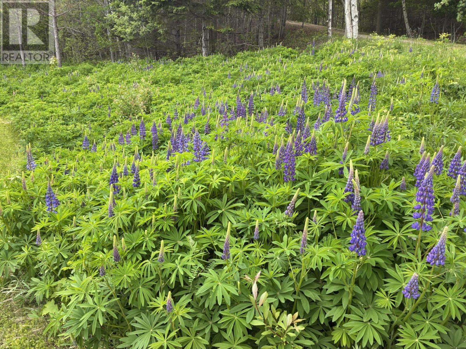 4030 Marble Mountain Road Property Photo 23