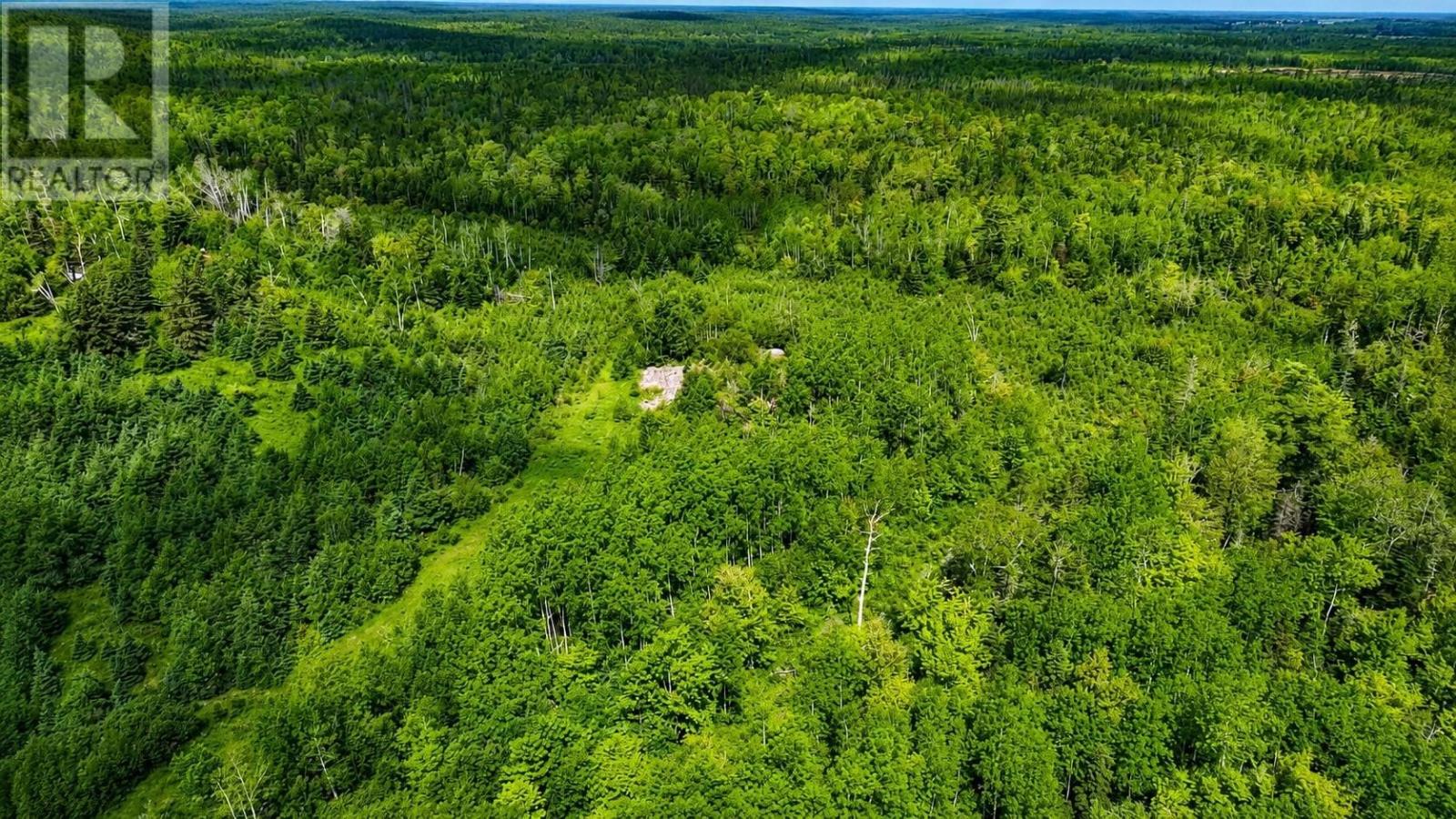 Point Pleasant Property Photo 3