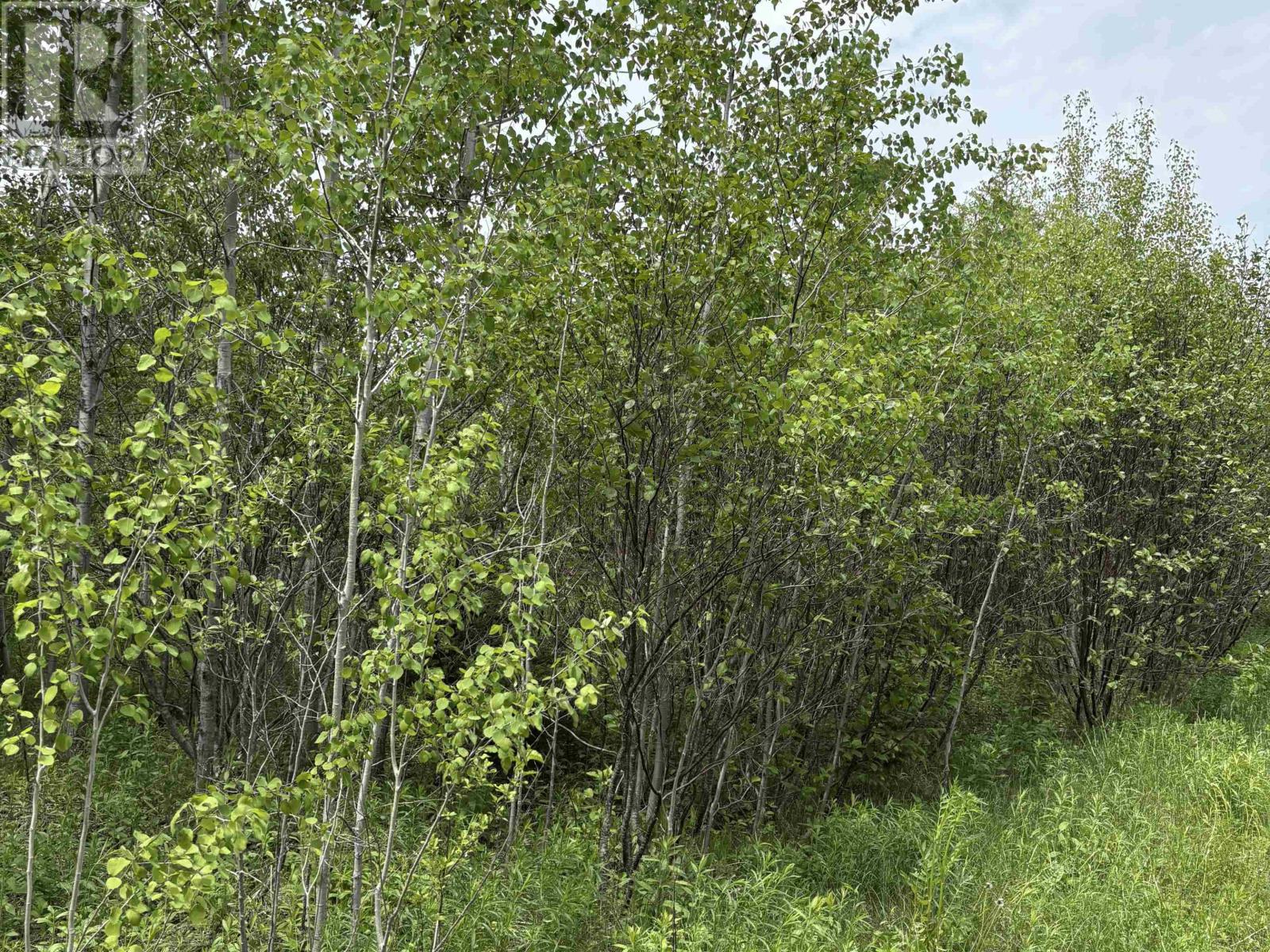 Point Pleasant Property Photo 16