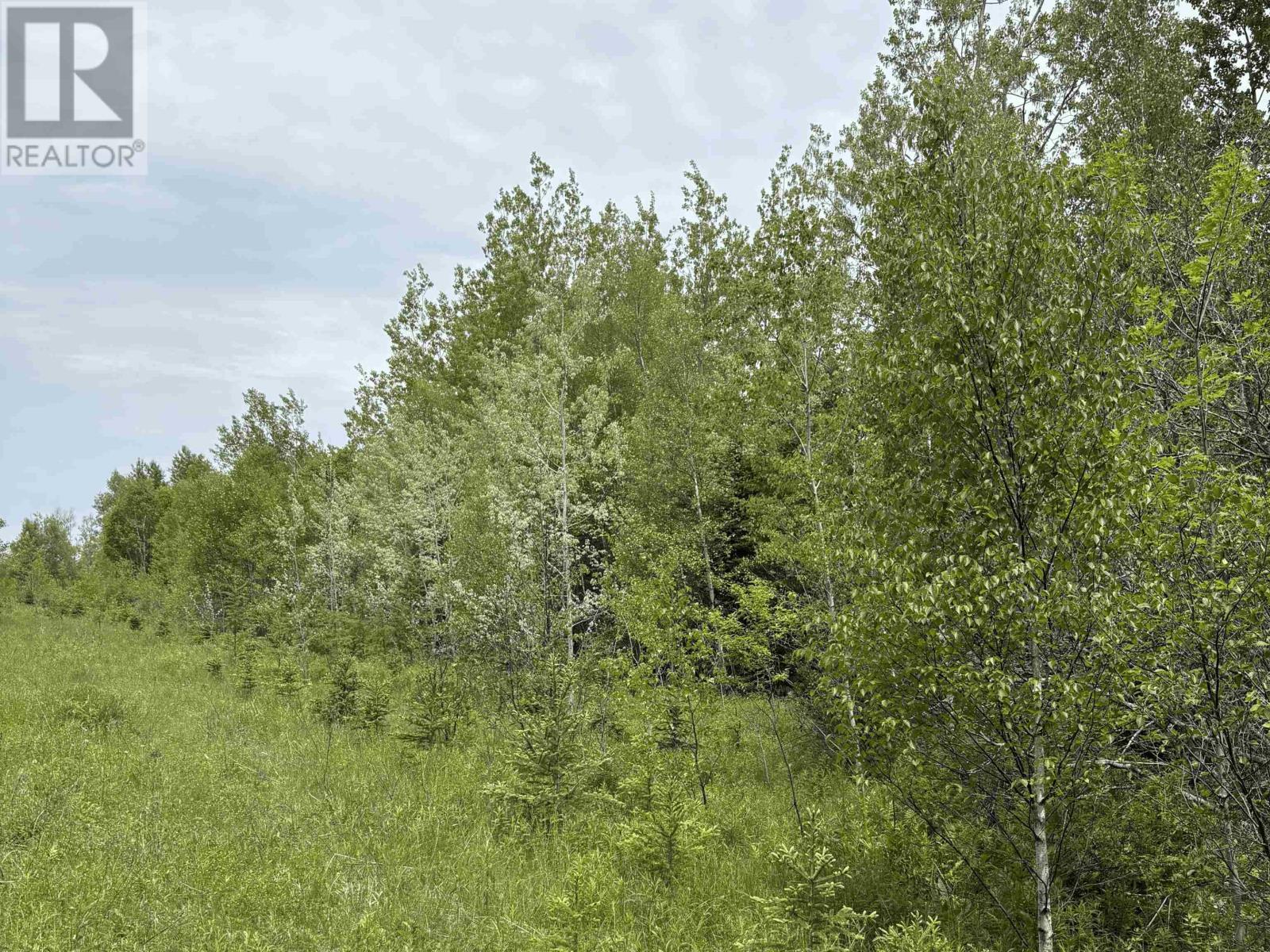 Point Pleasant Property Photo 19