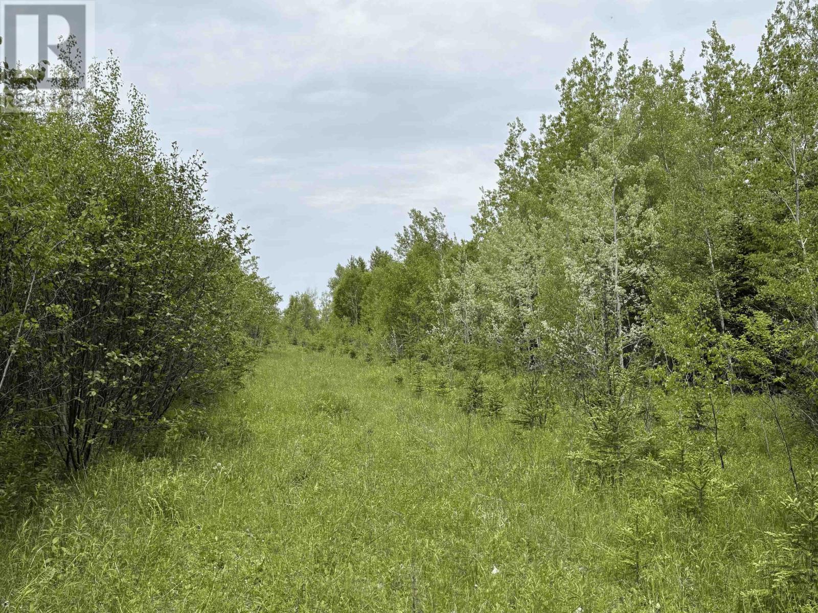 Point Pleasant Property Photo 20