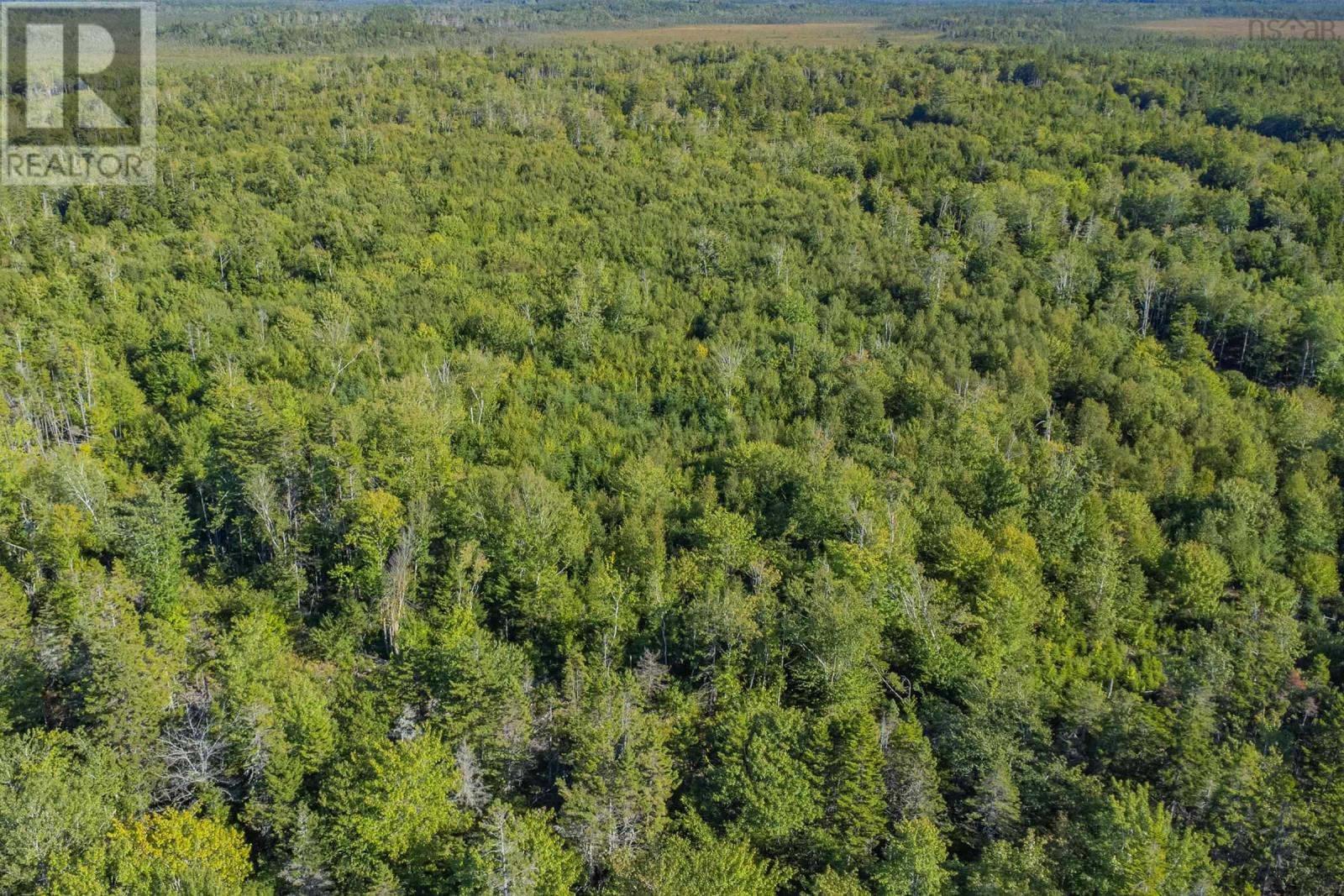 Ruel Du Lac Gaspereau Property Photo 4