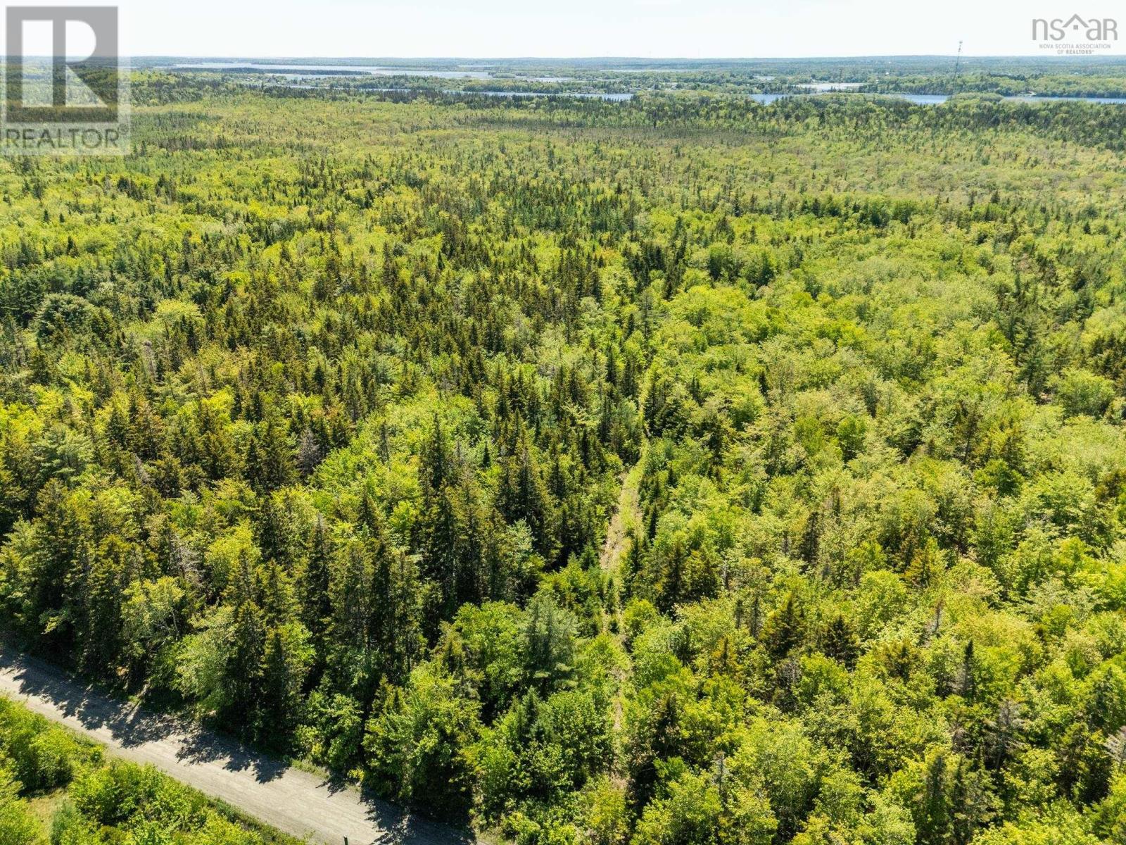 Lots, Belleville Road Property Photo 3